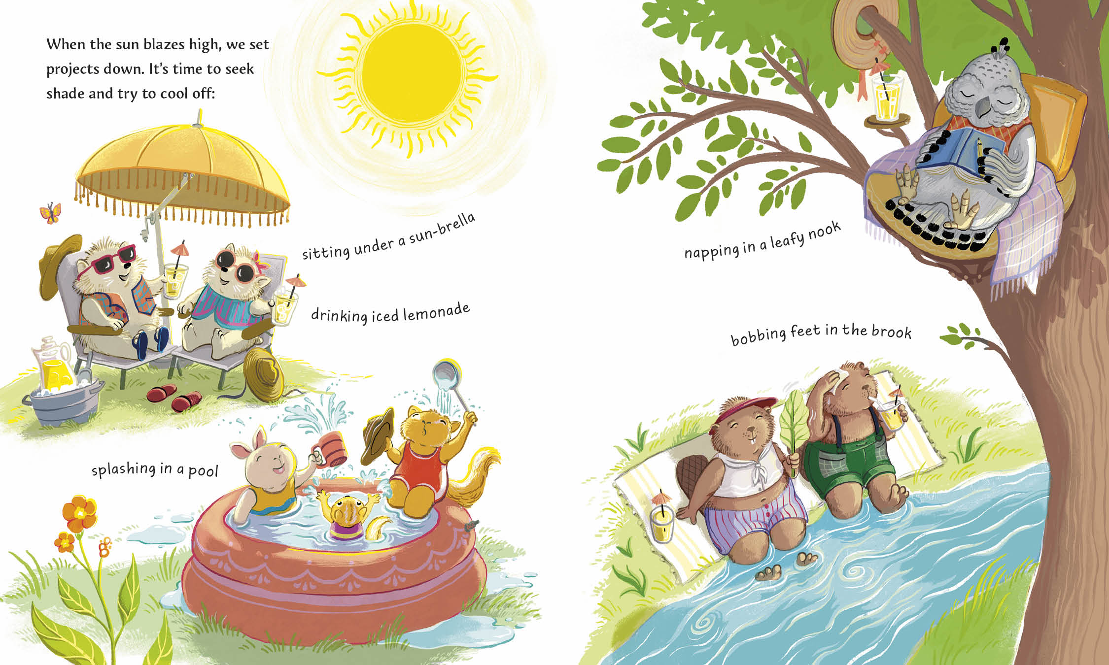 additional book photo