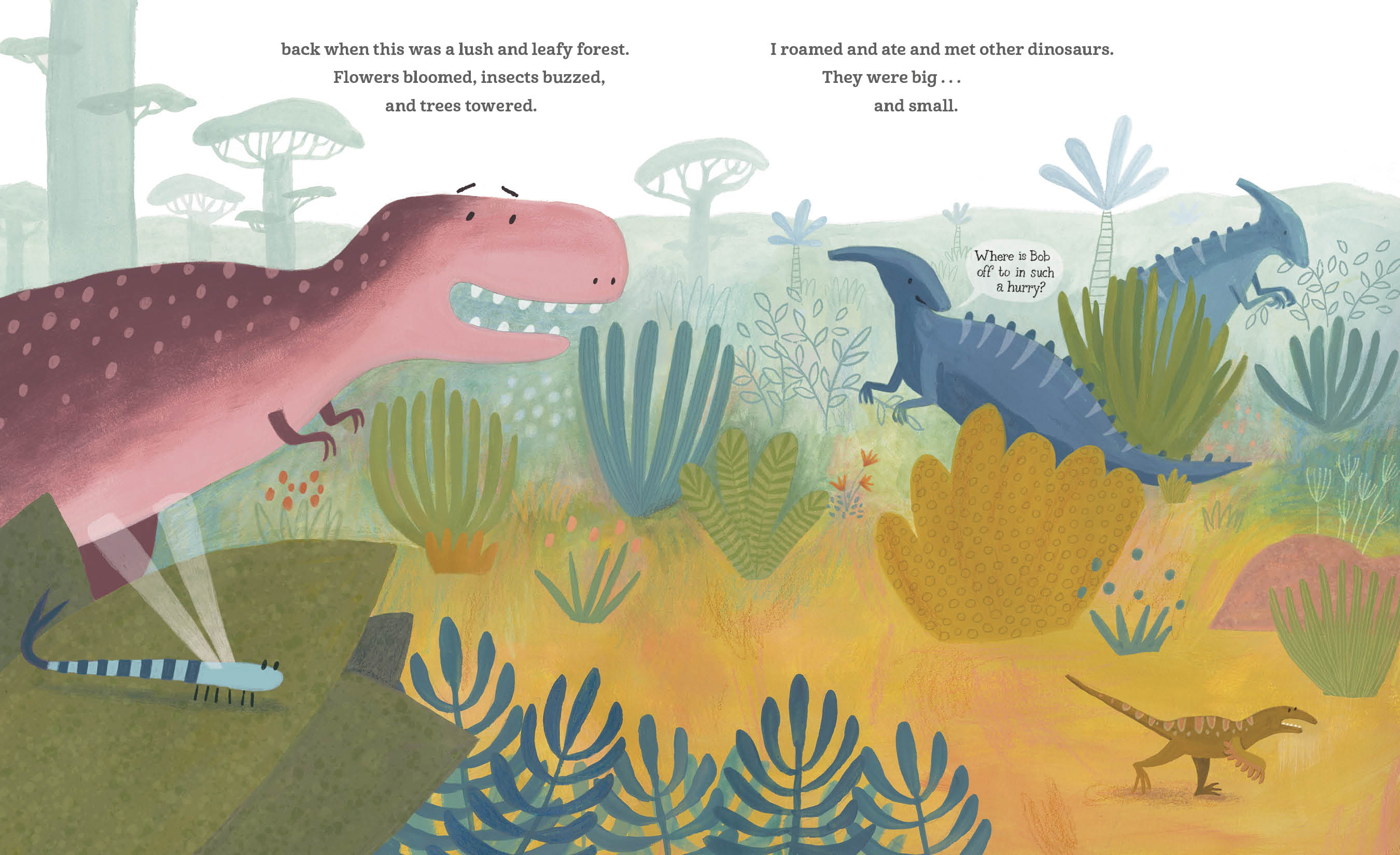 additional book photo