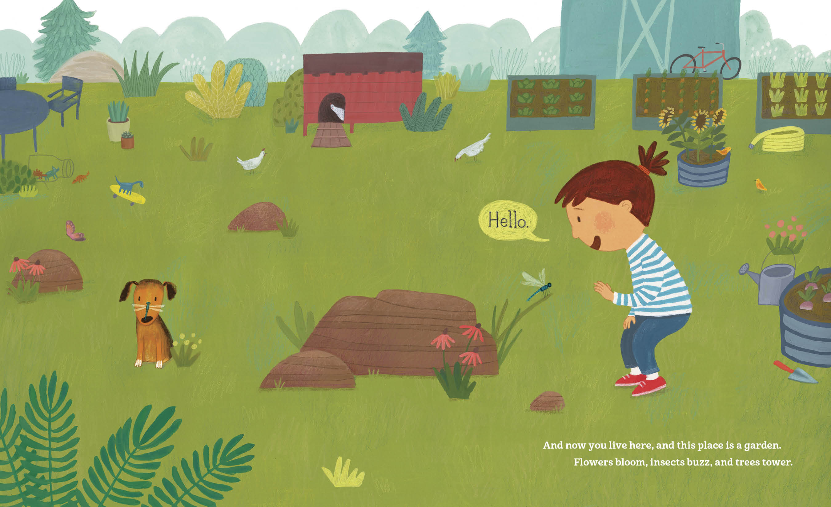 additional book photo