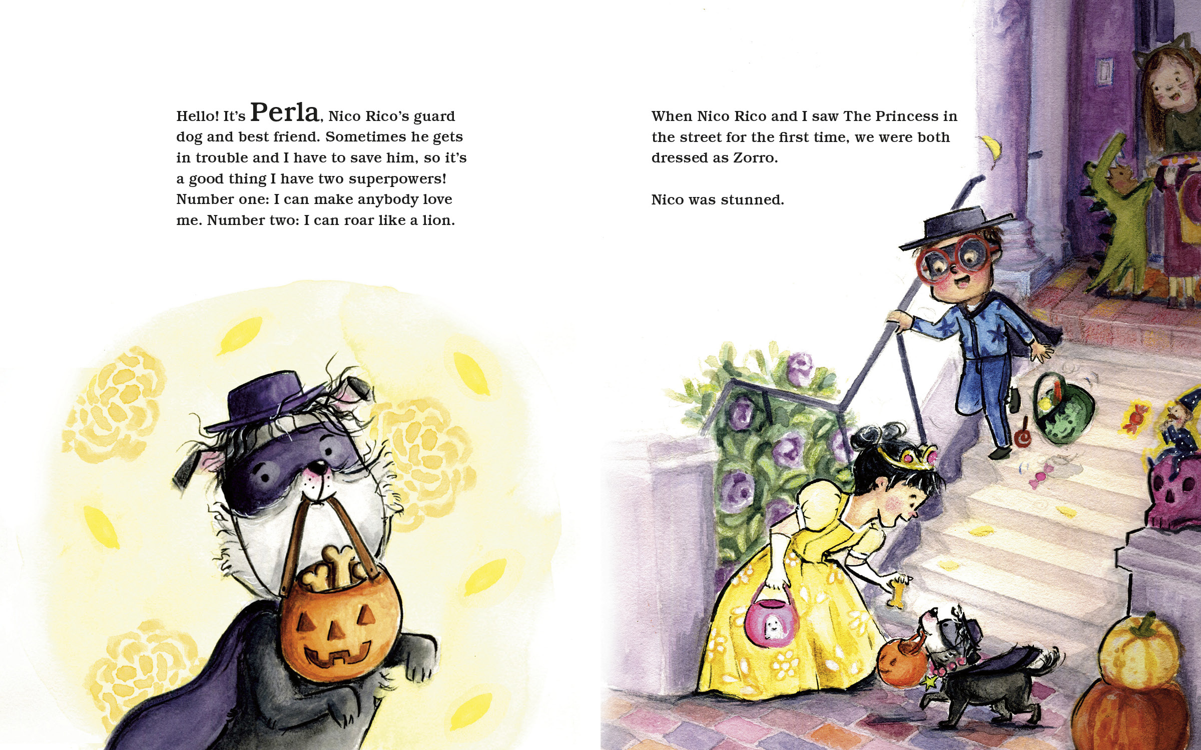 additional book photo