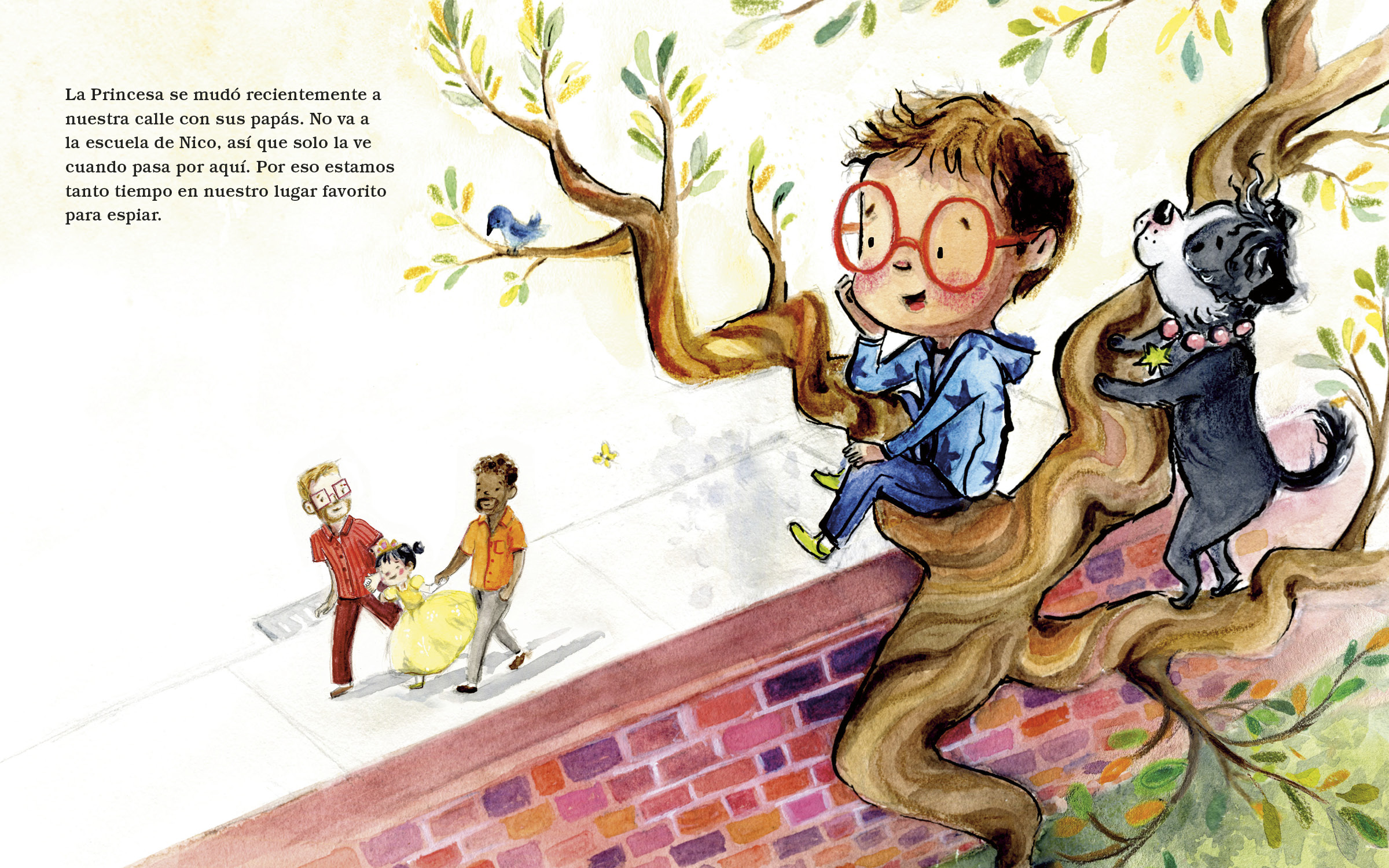 additional book photo