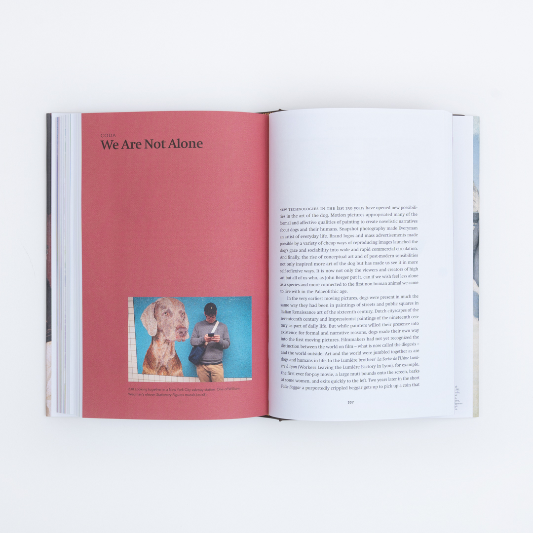 additional book photo