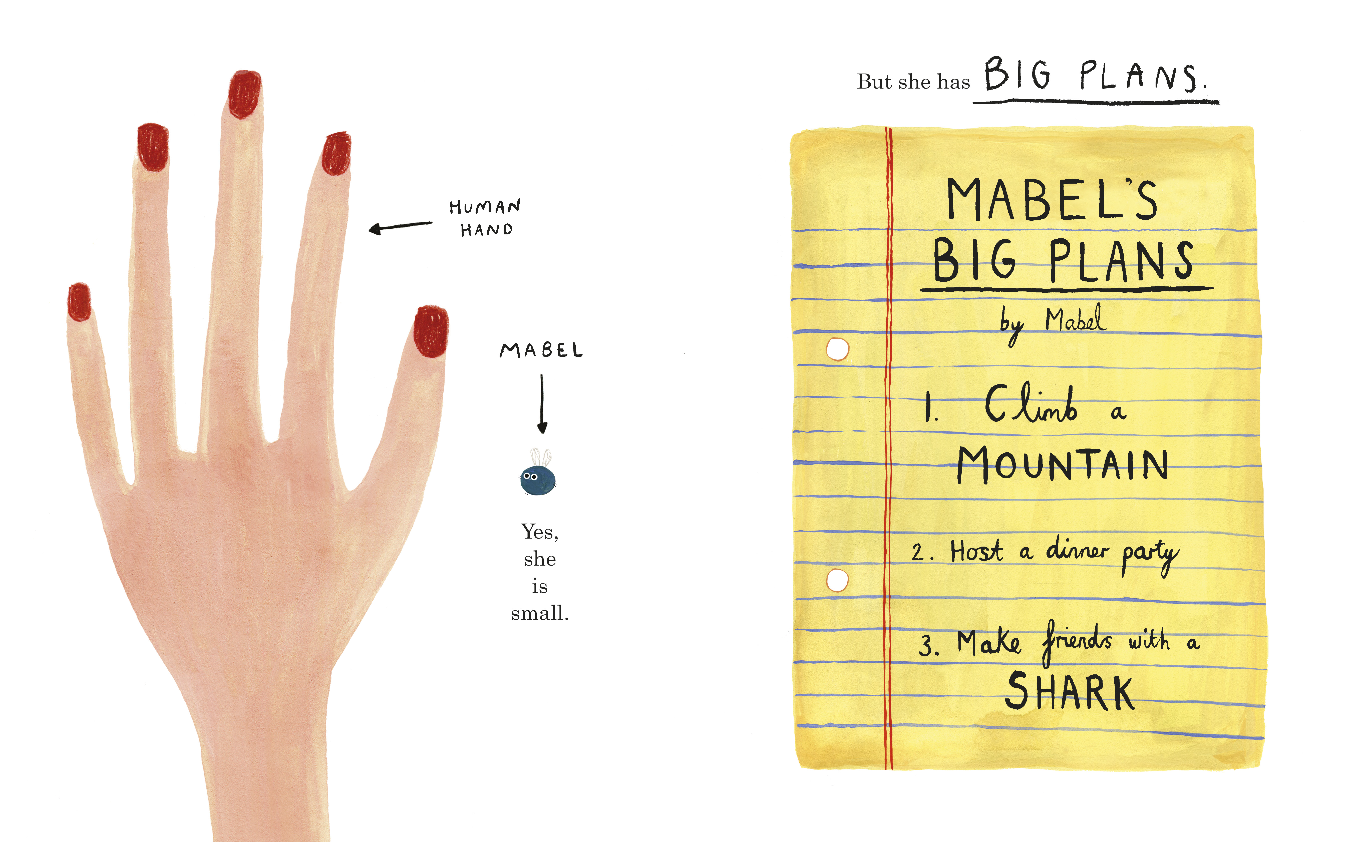 additional book photo