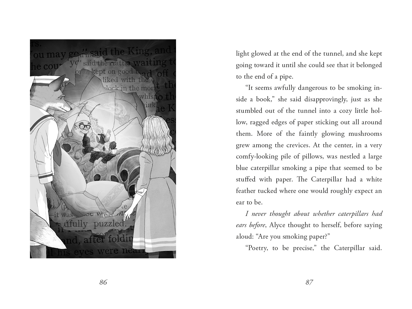 additional book photo