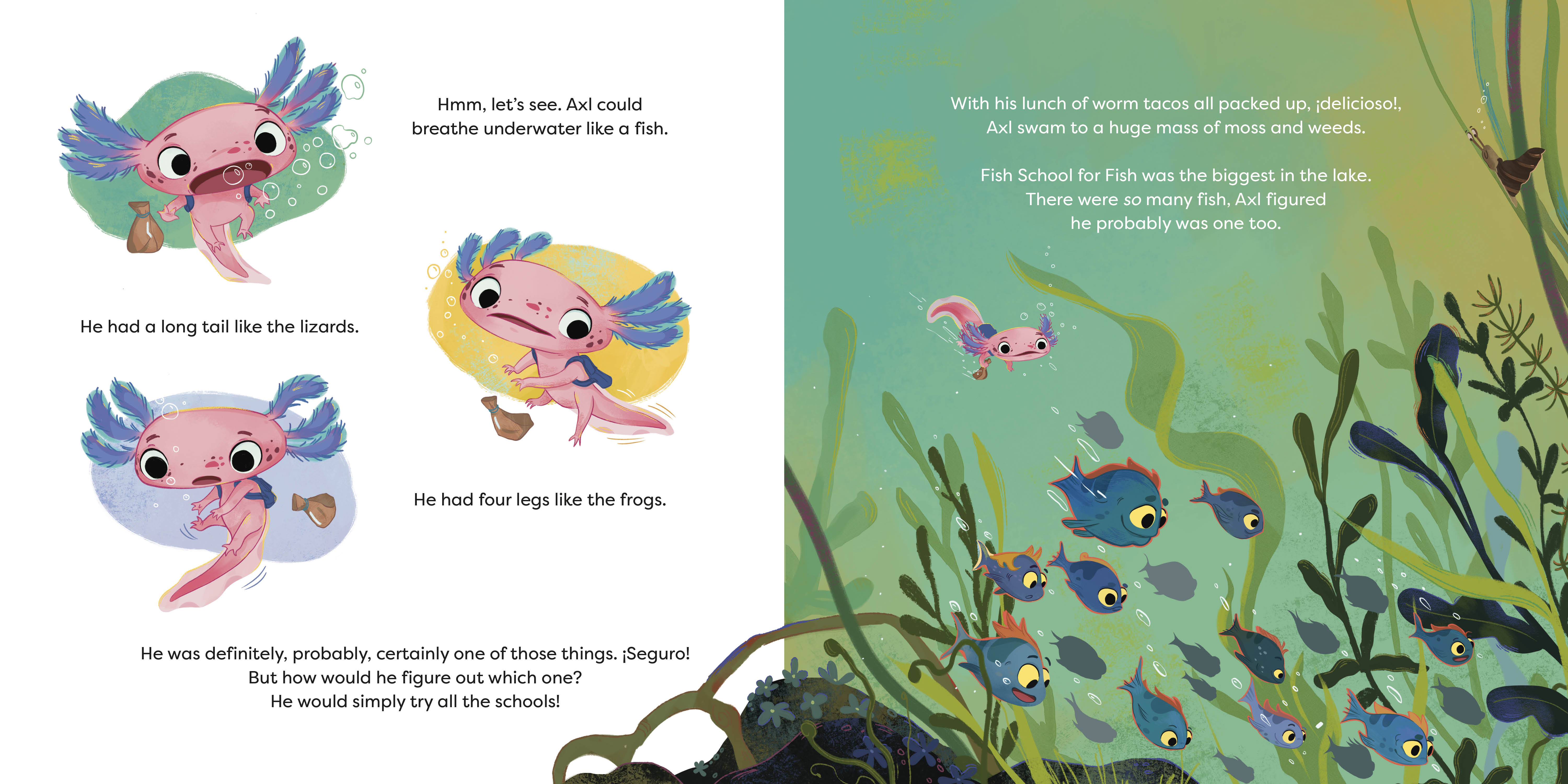 additional book photo