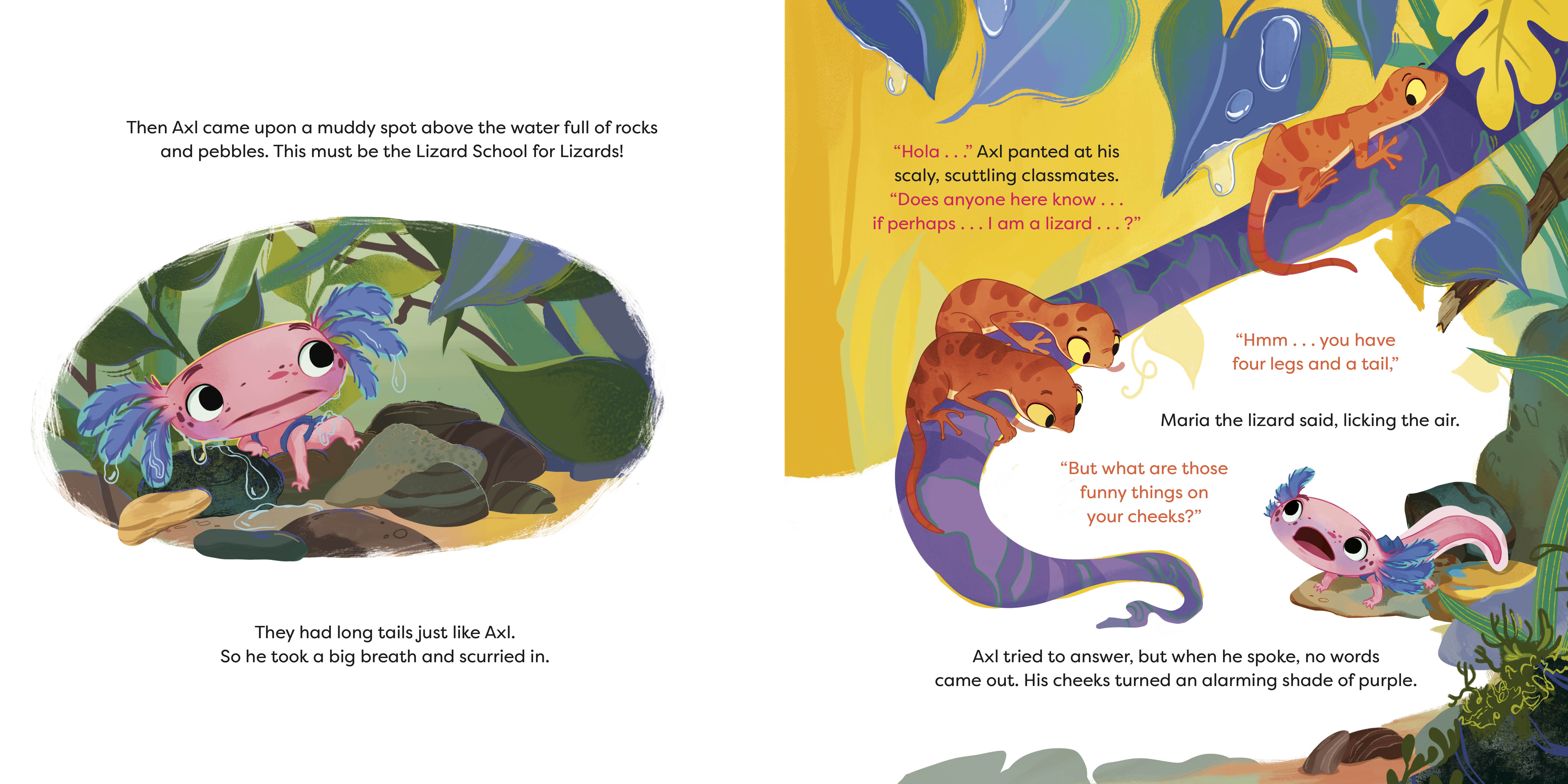 additional book photo