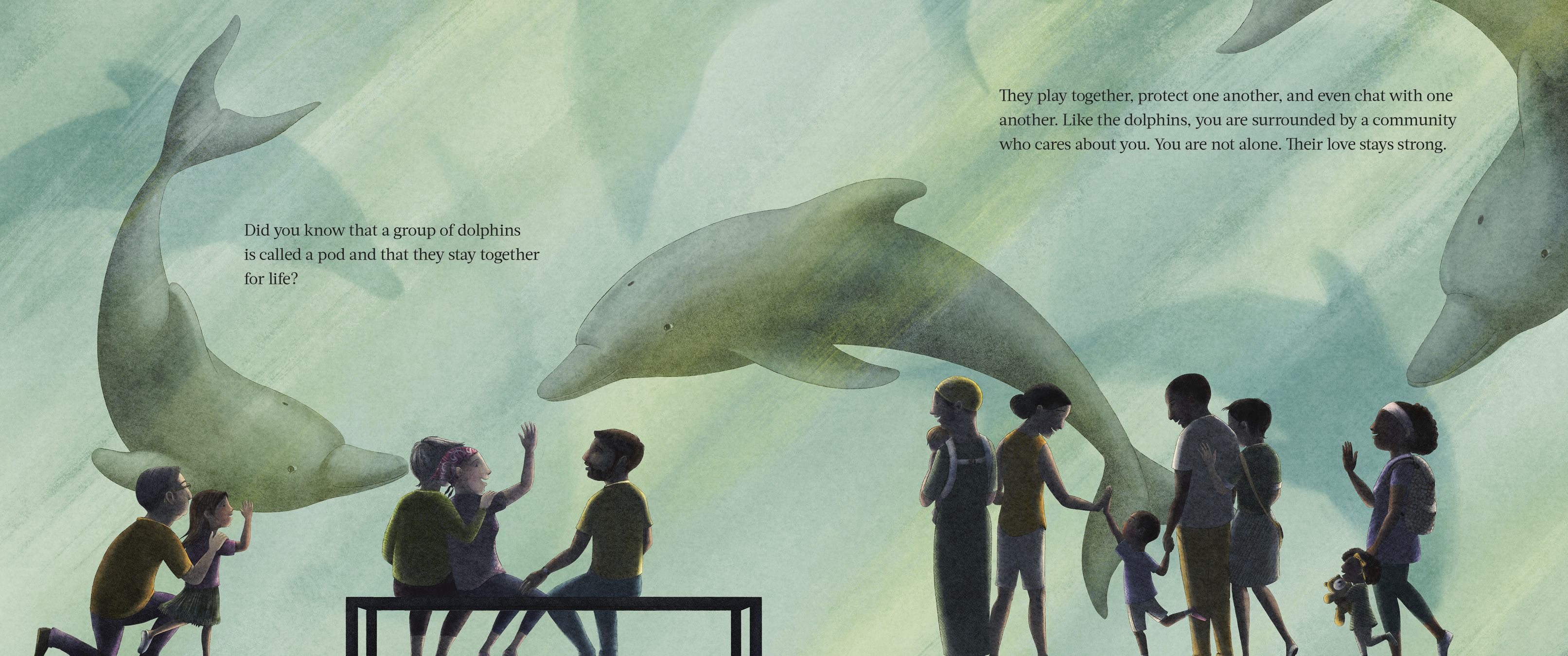 additional book photo