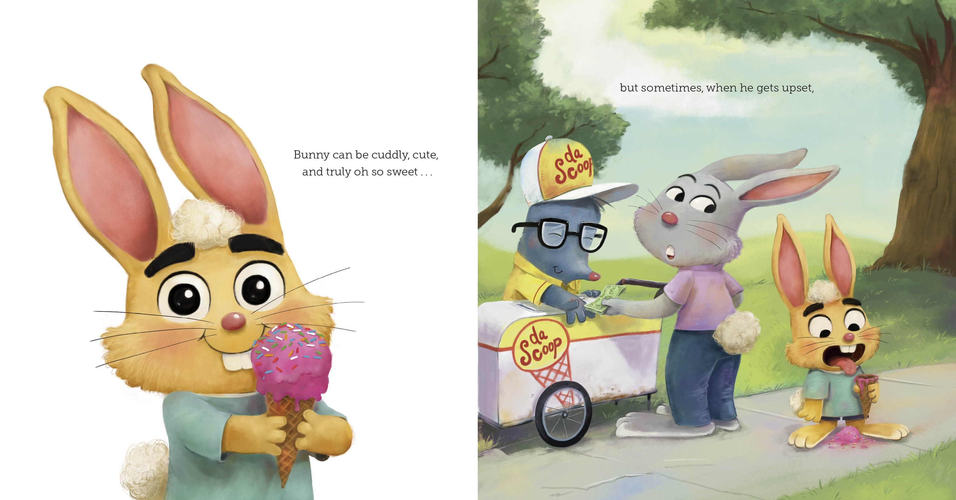 additional book photo