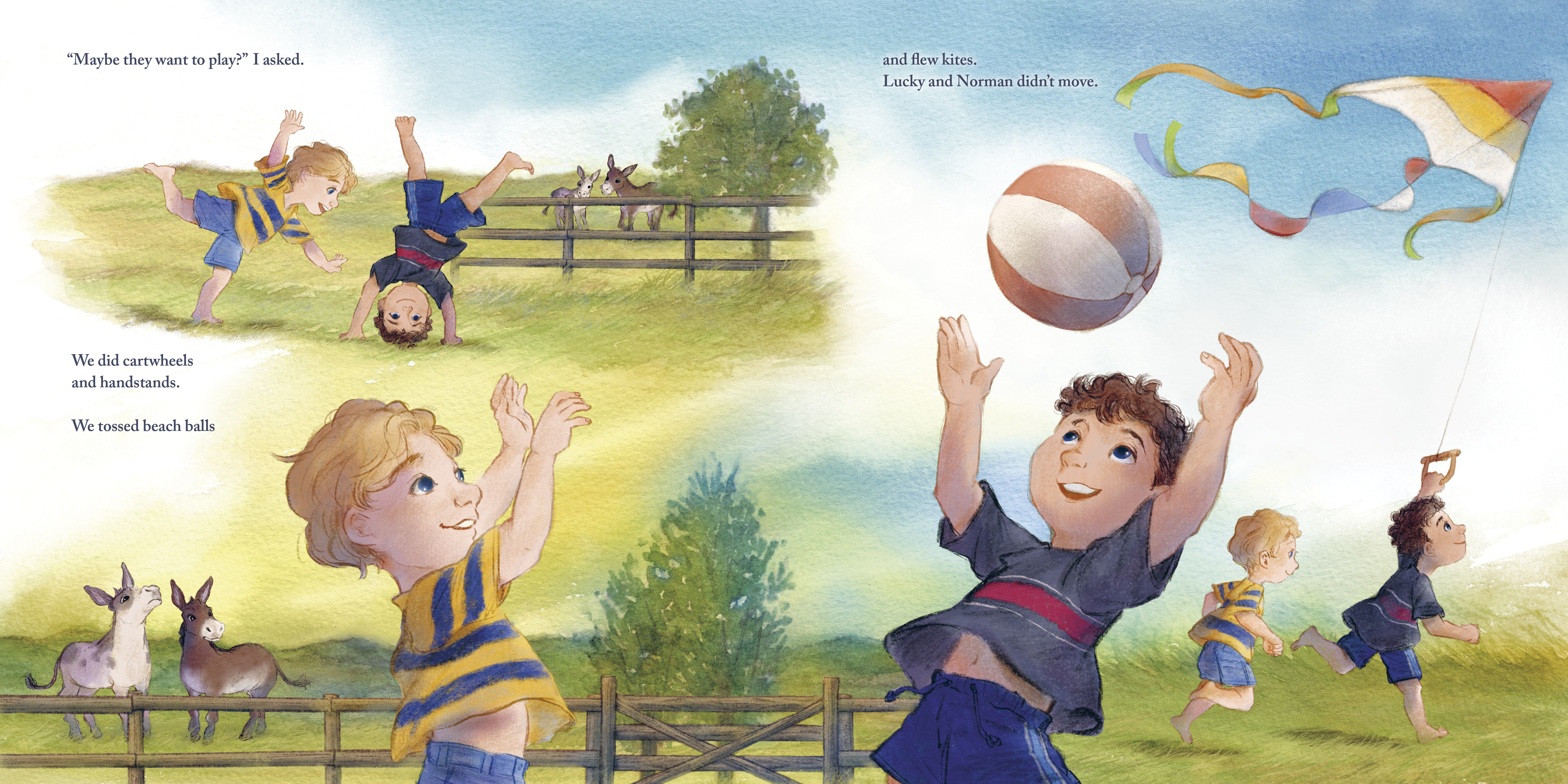 additional book photo