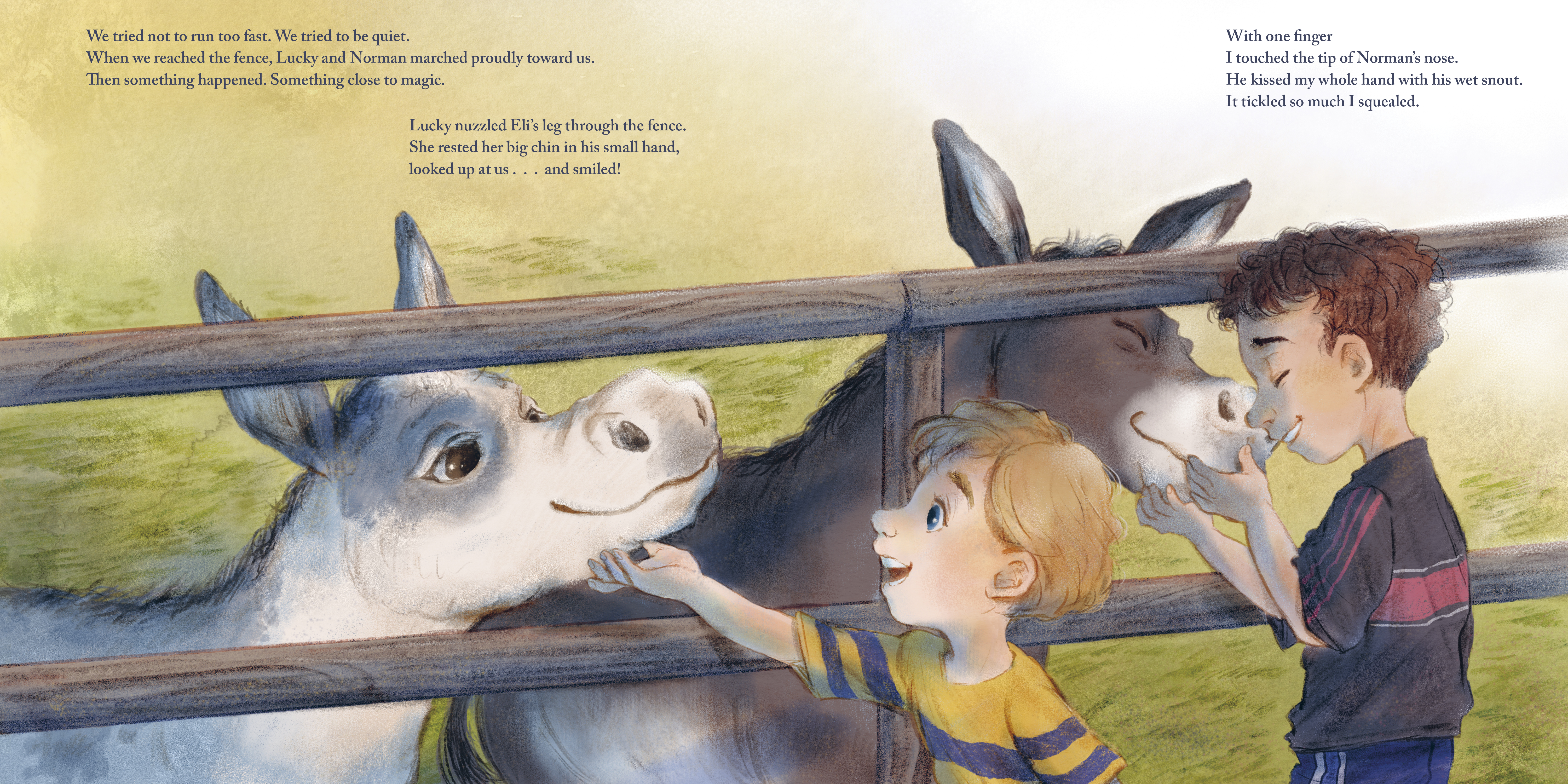 additional book photo