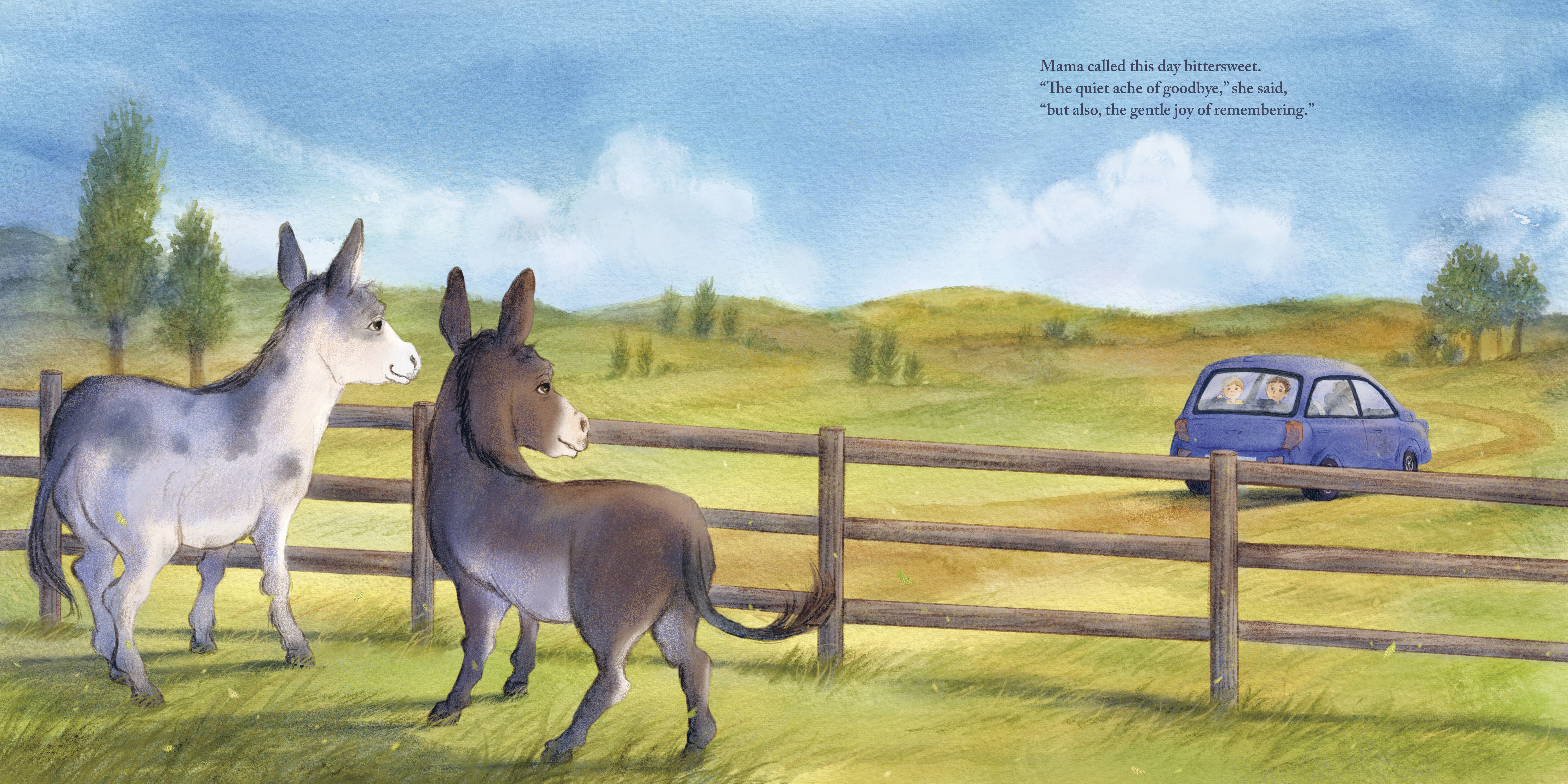 additional book photo
