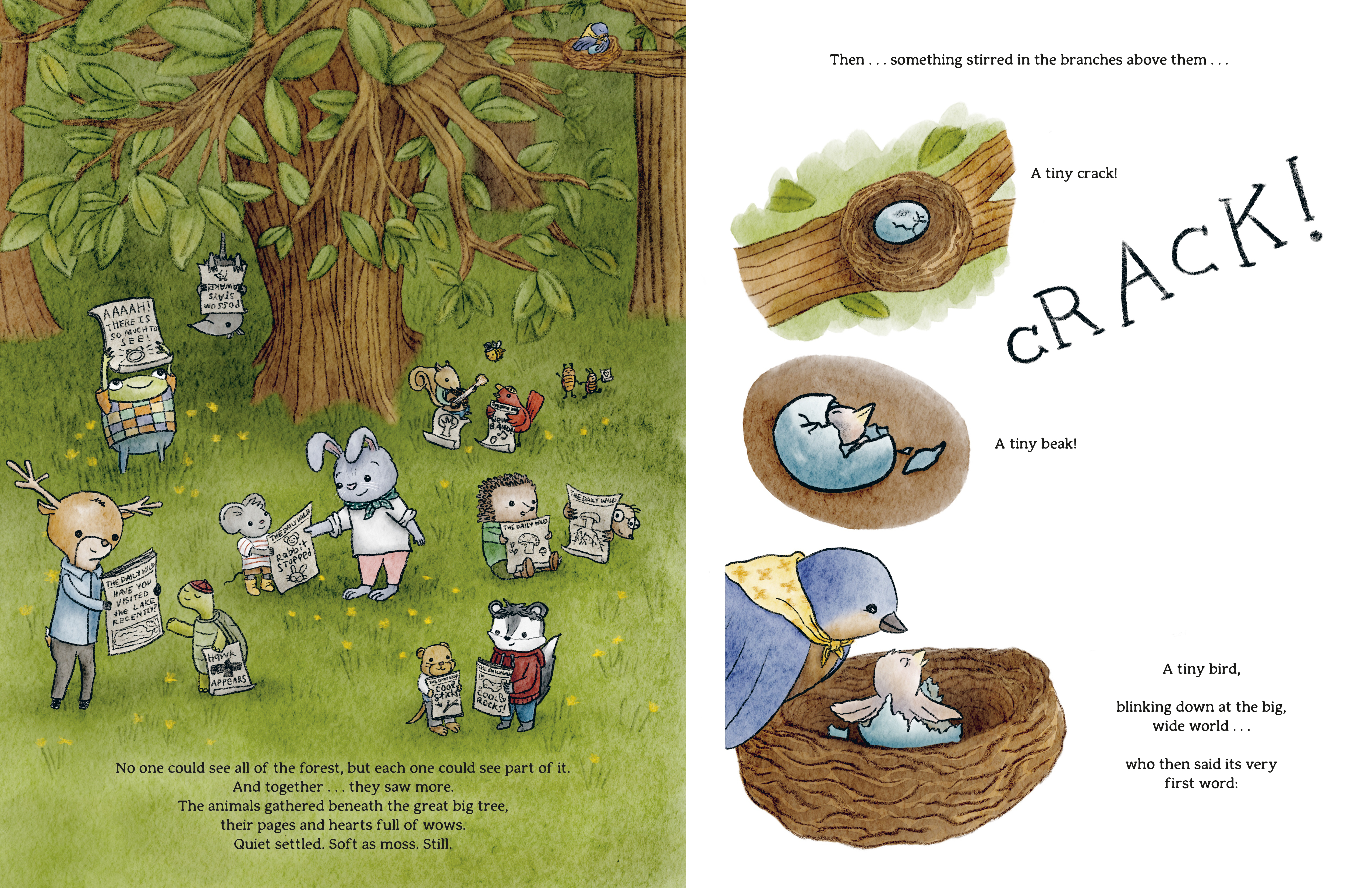 additional book photo