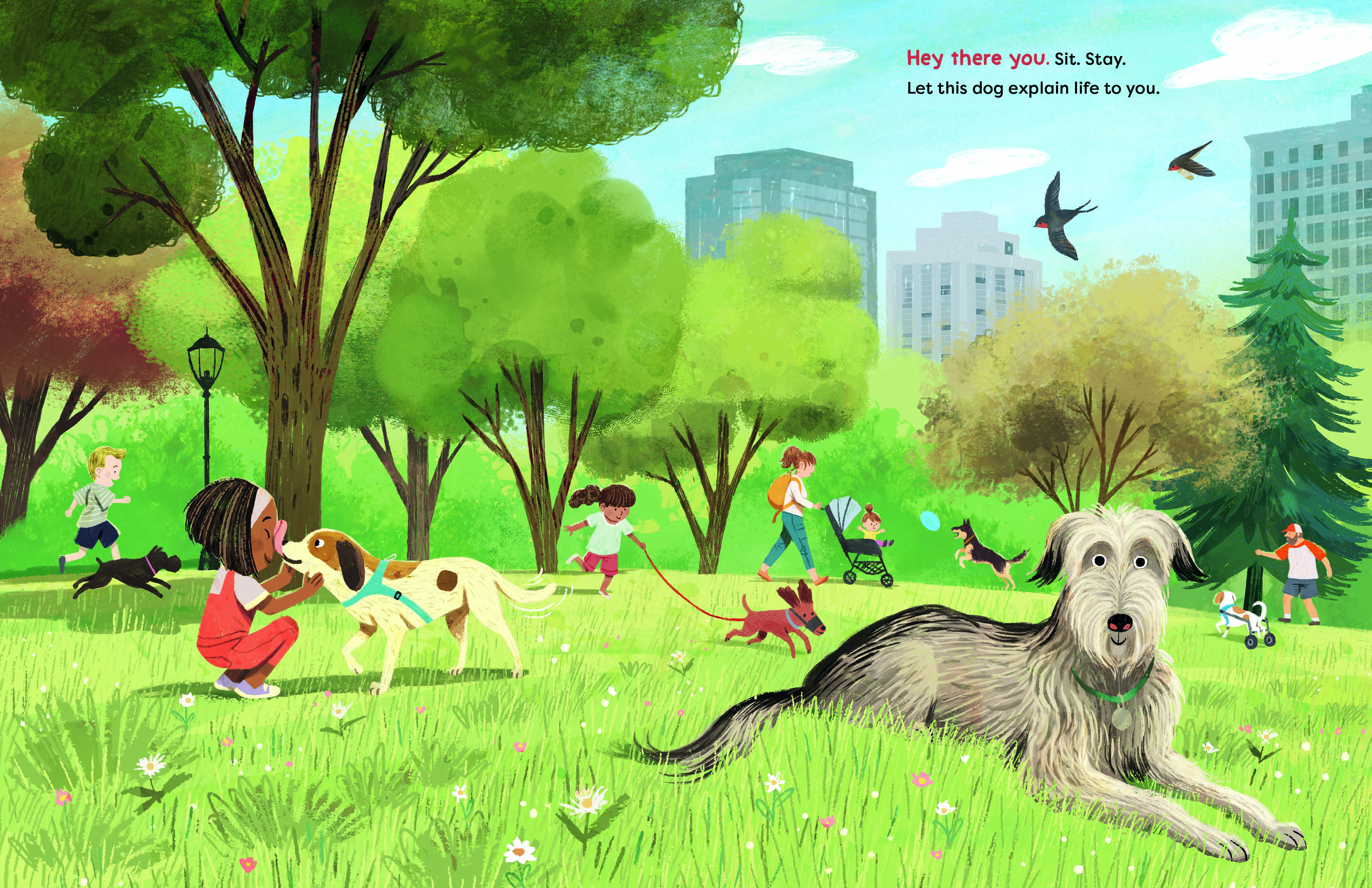 additional book photo