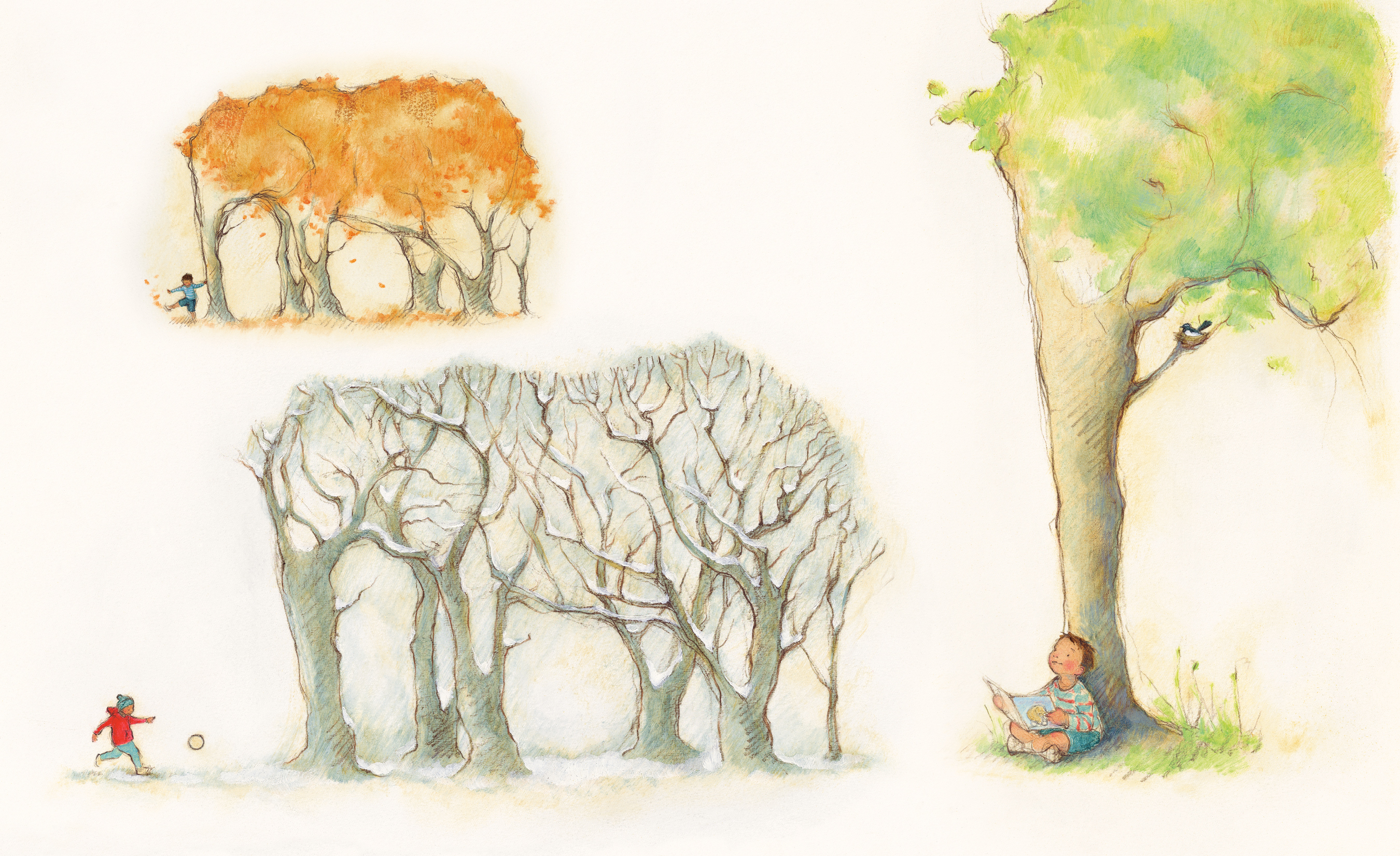additional book photo
