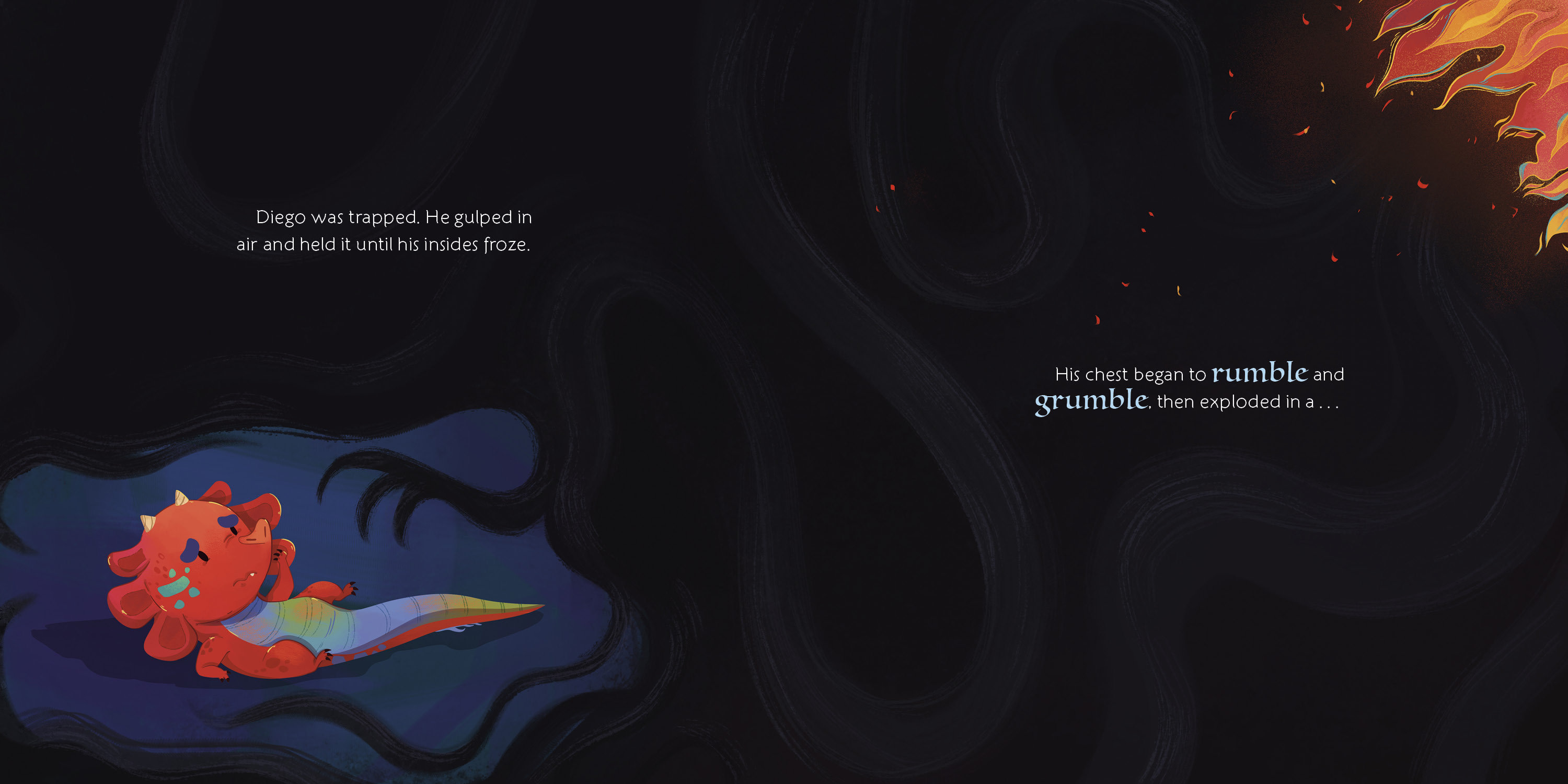 additional book photo