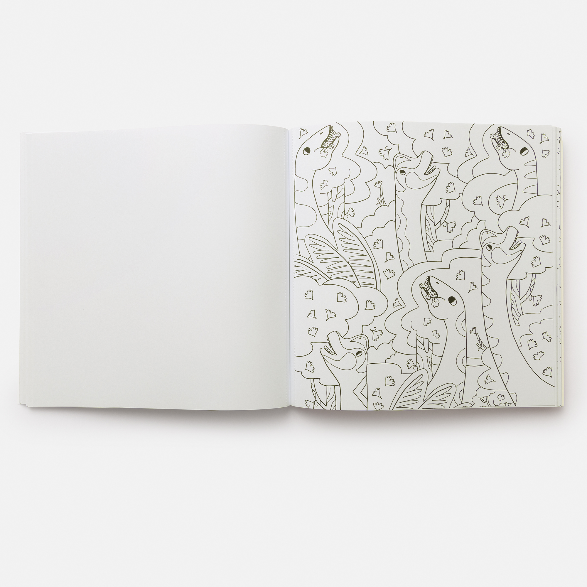 additional book photo