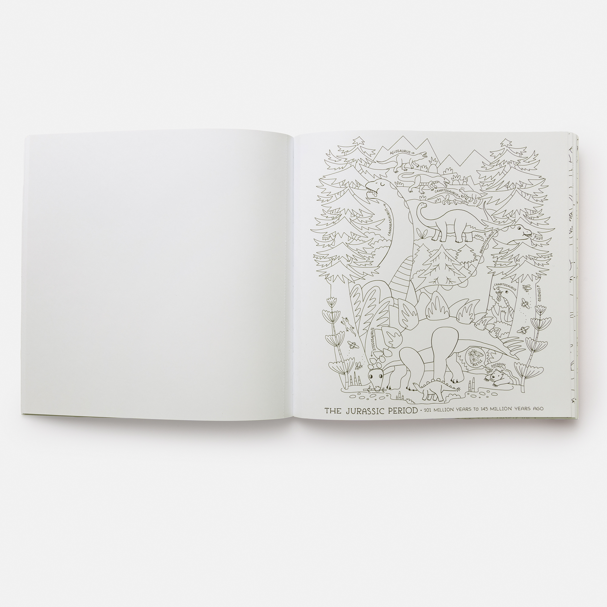 additional book photo