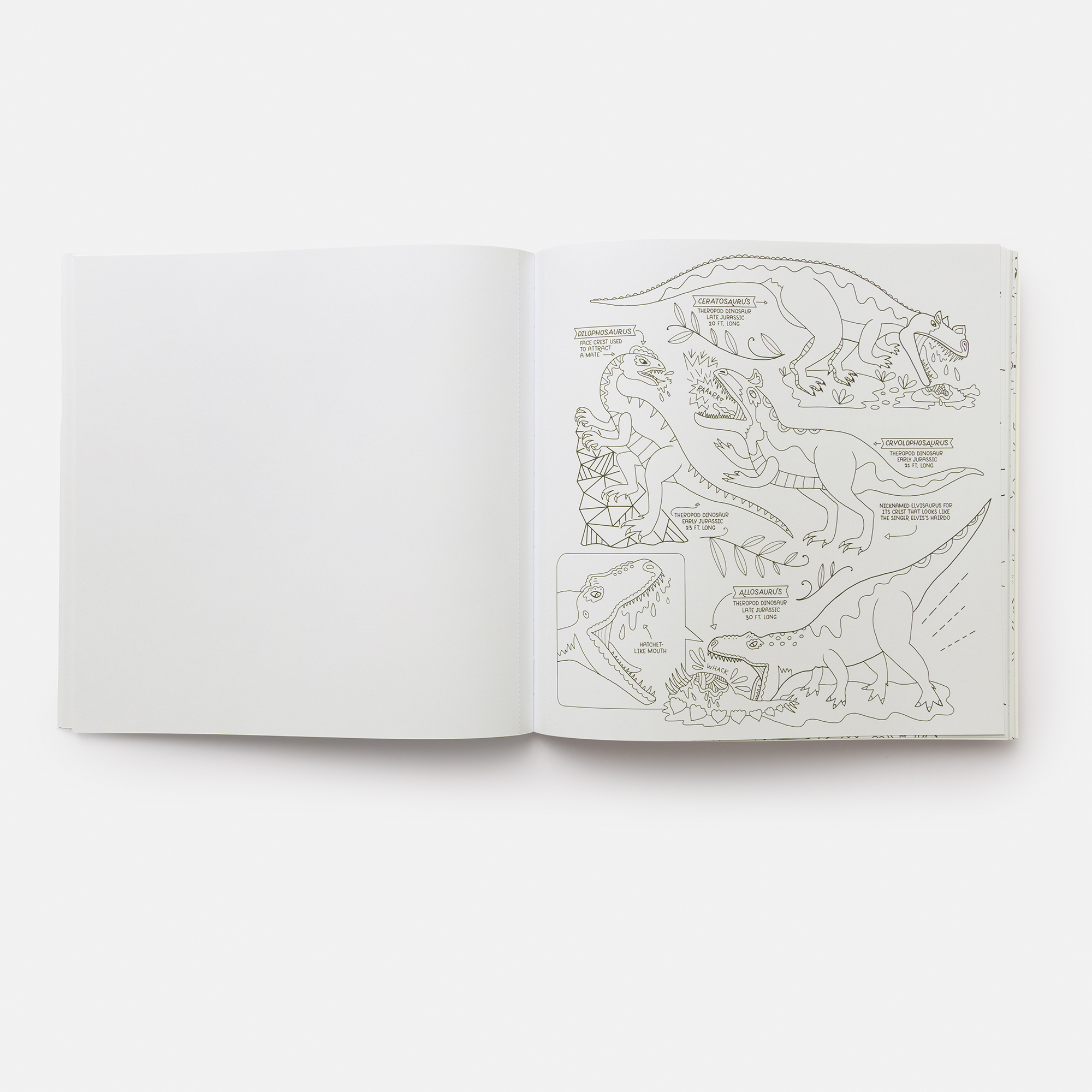 additional book photo