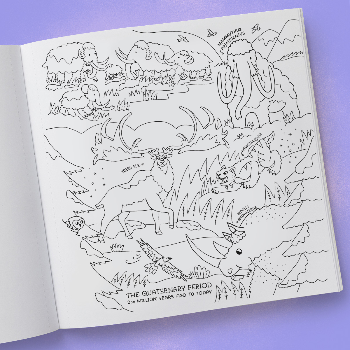 additional book photo