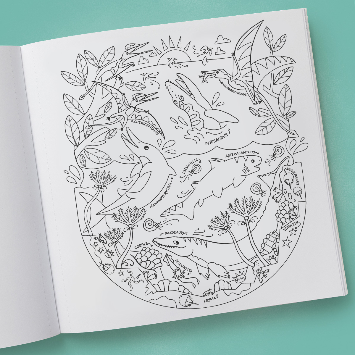 additional book photo