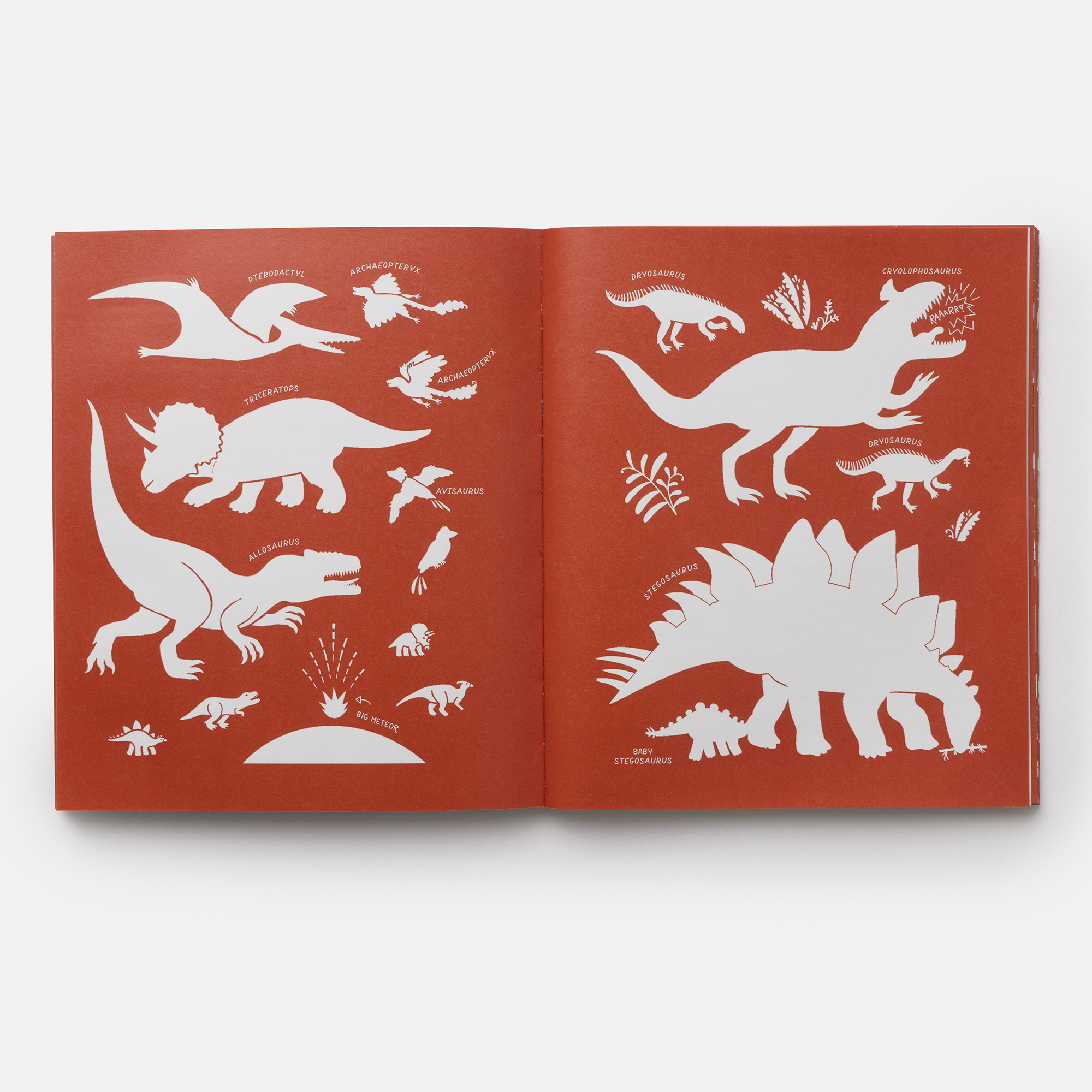 additional book photo