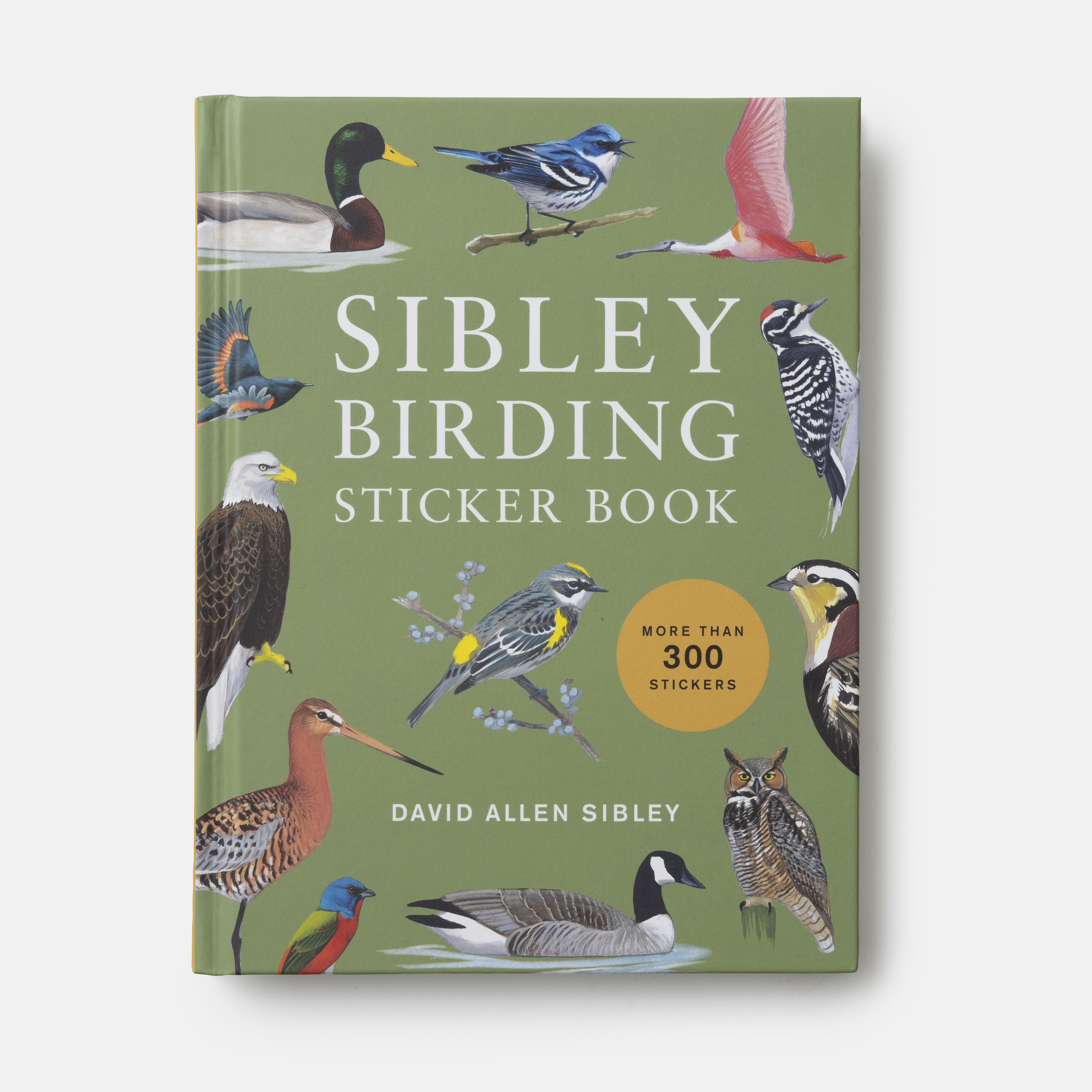 additional book photo