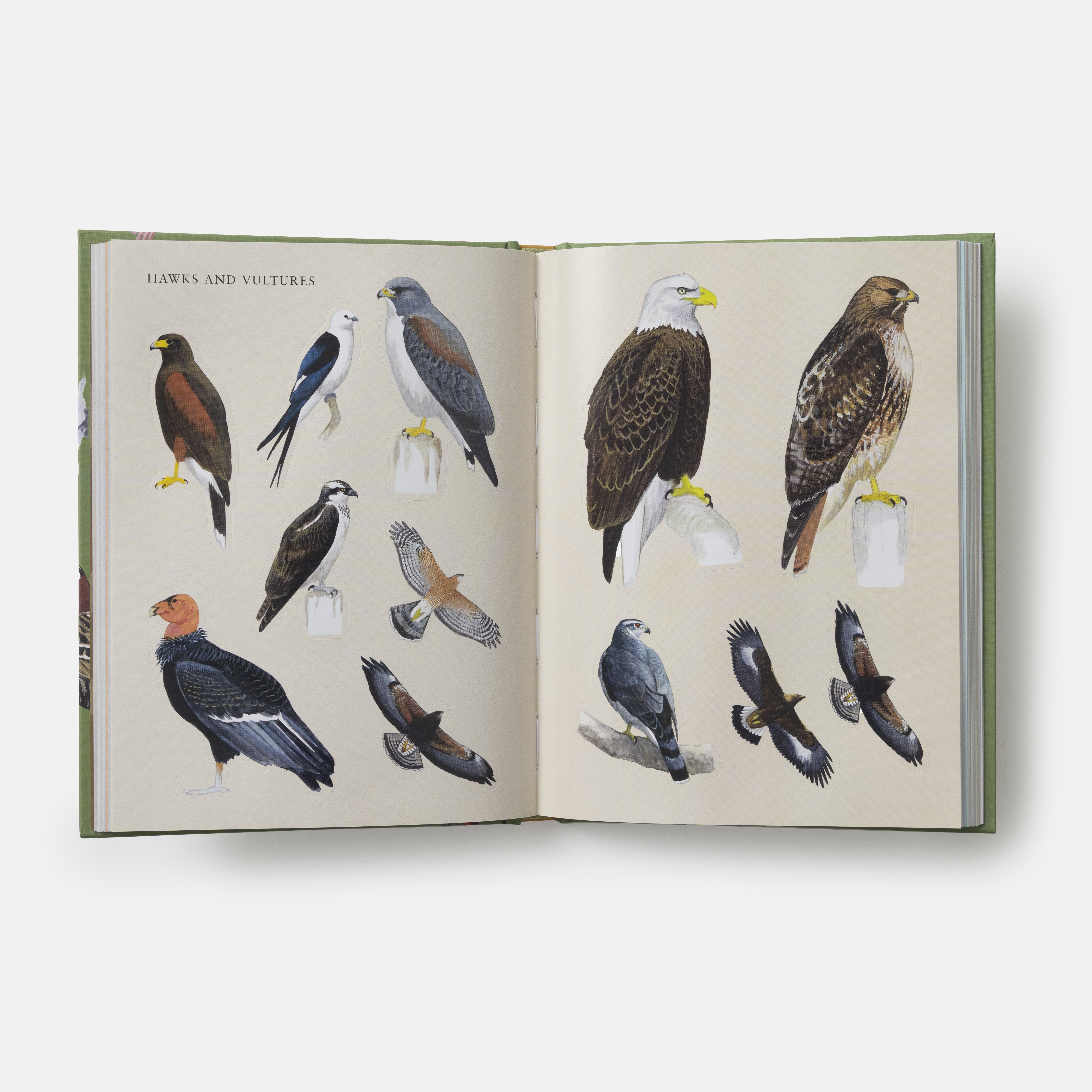 additional book photo