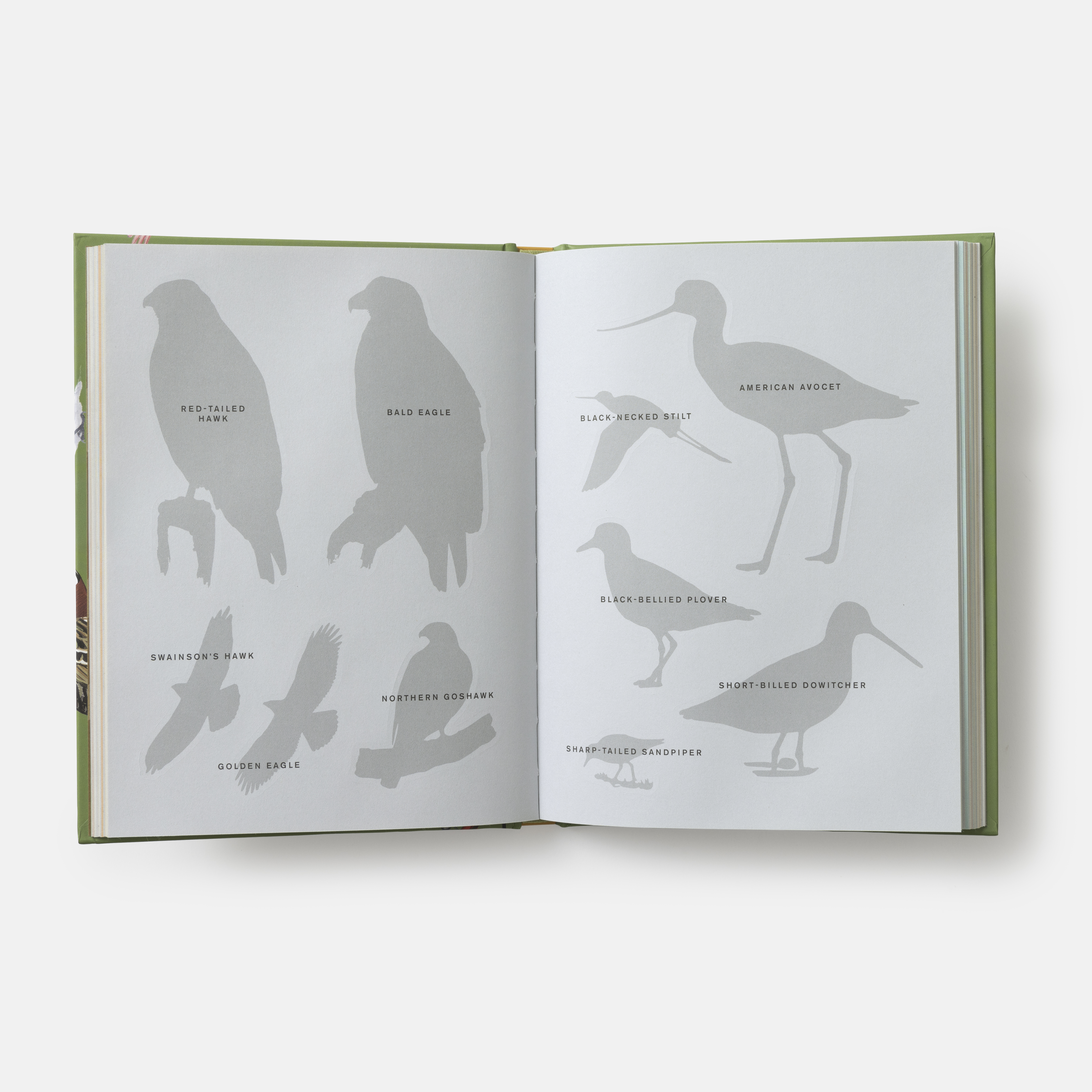 additional book photo