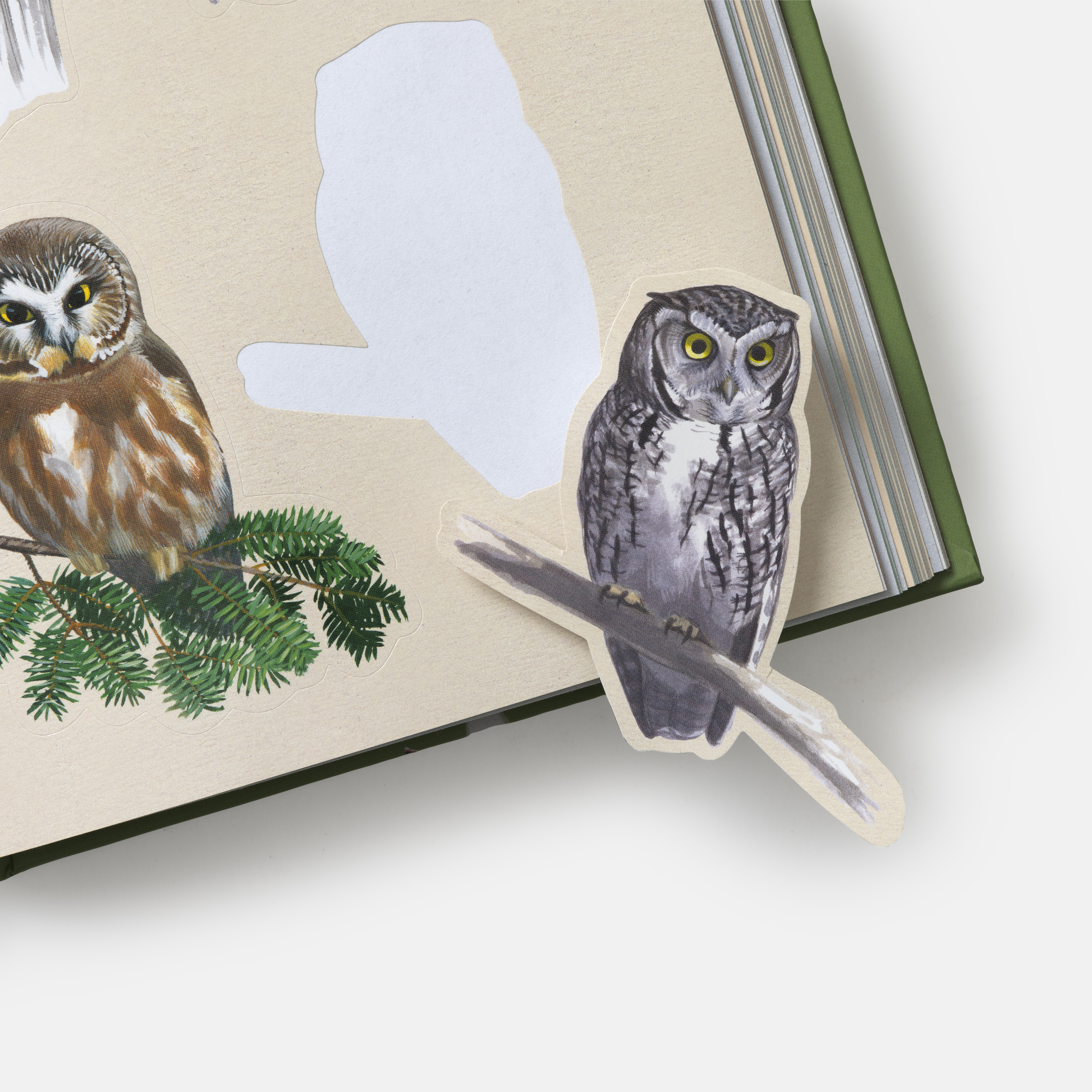 additional book photo