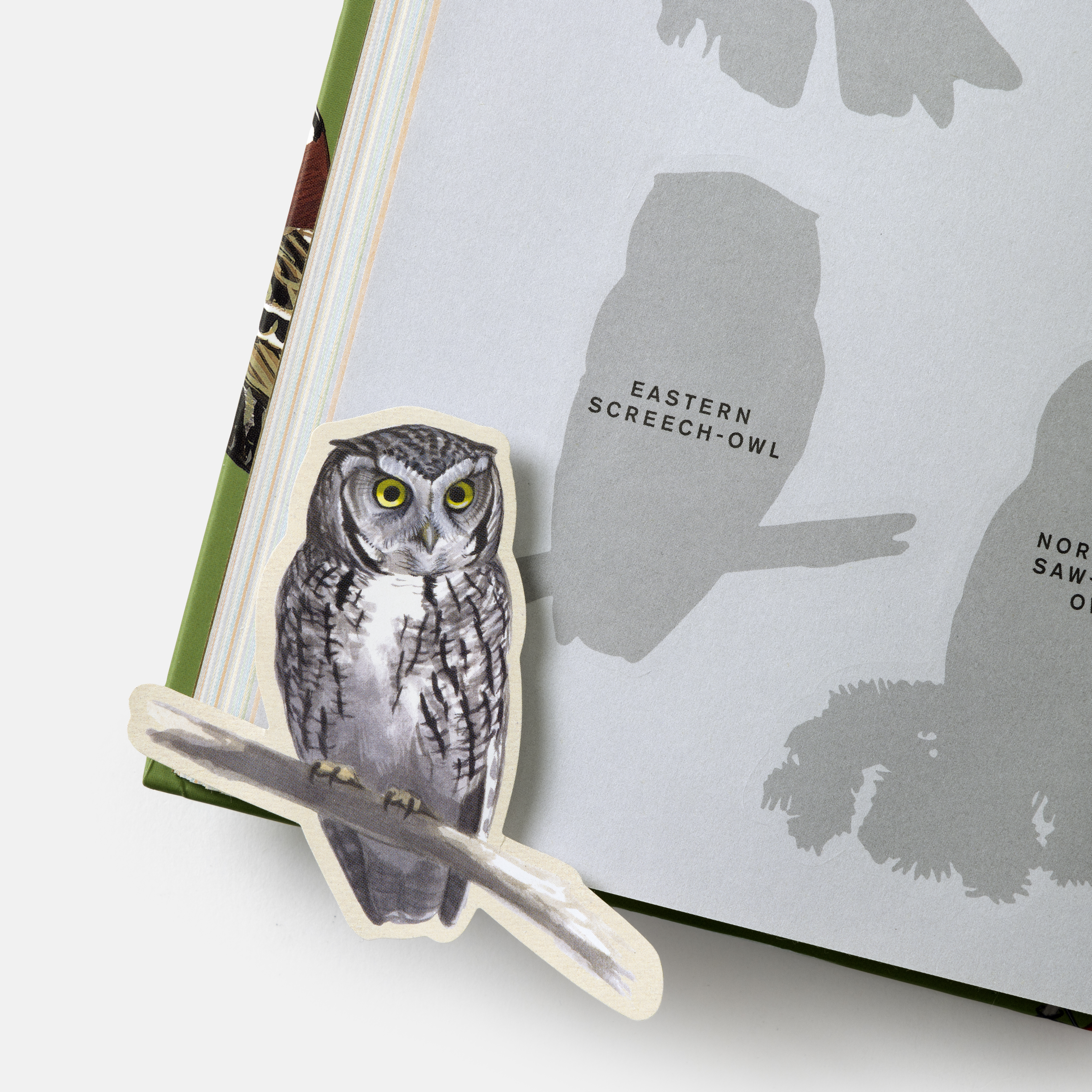 additional book photo