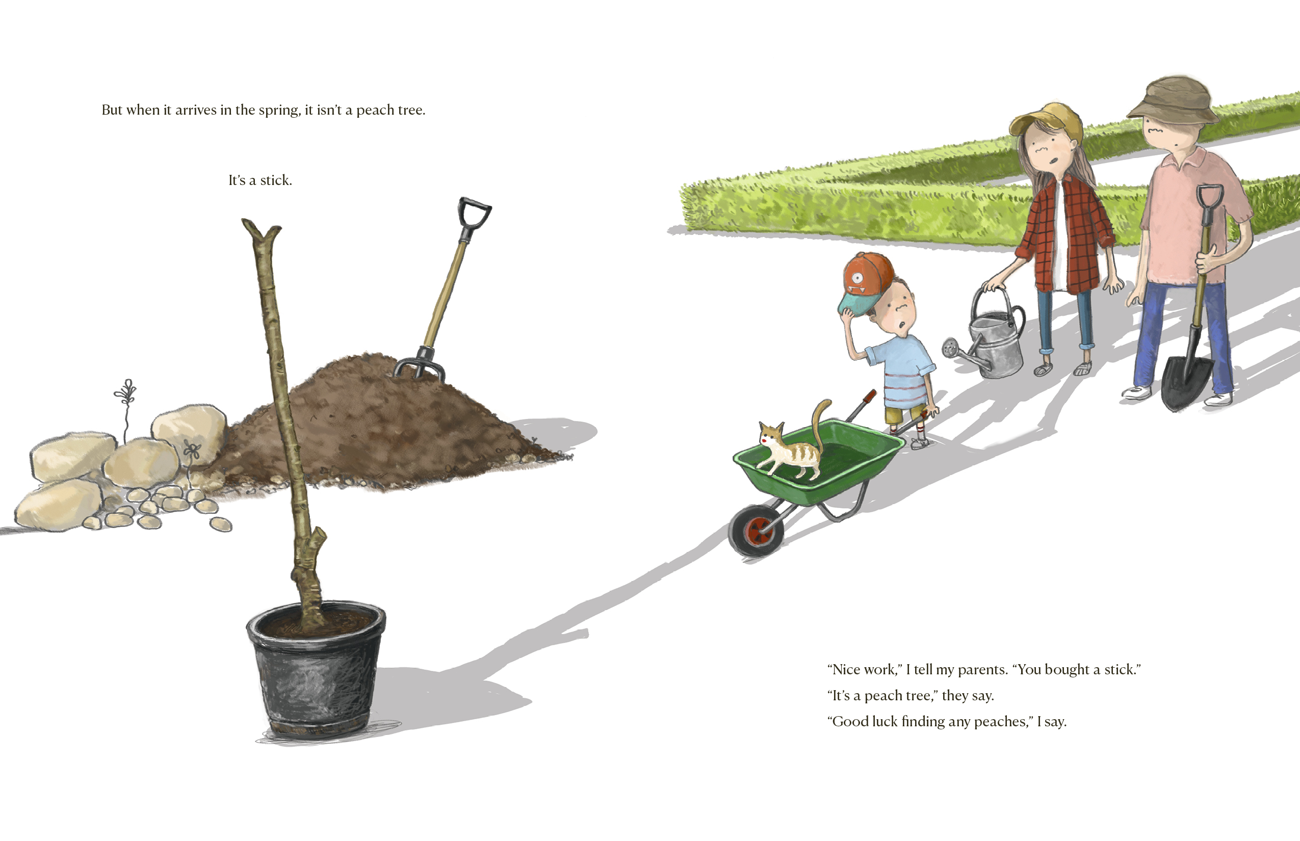 additional book photo