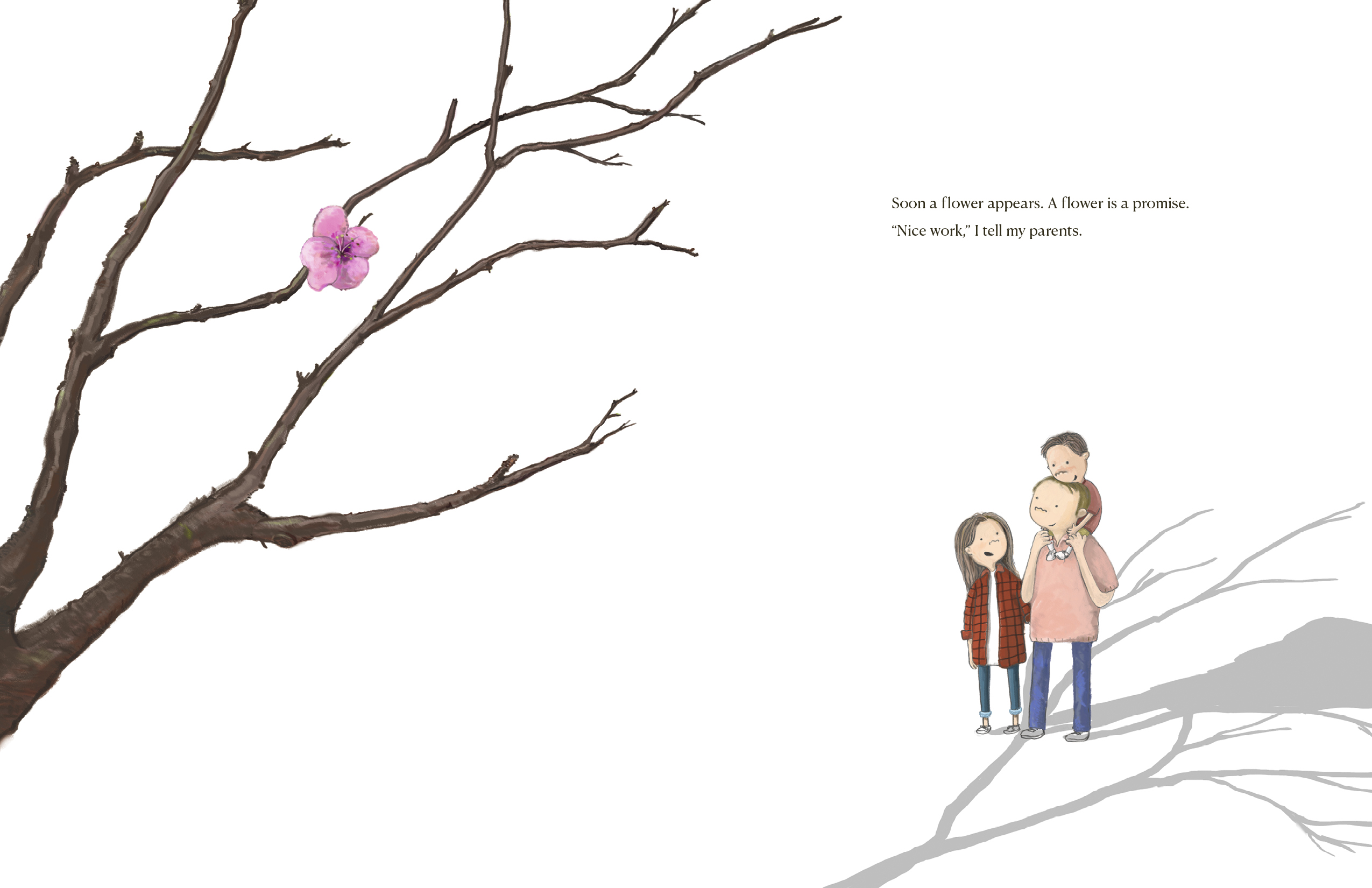 additional book photo