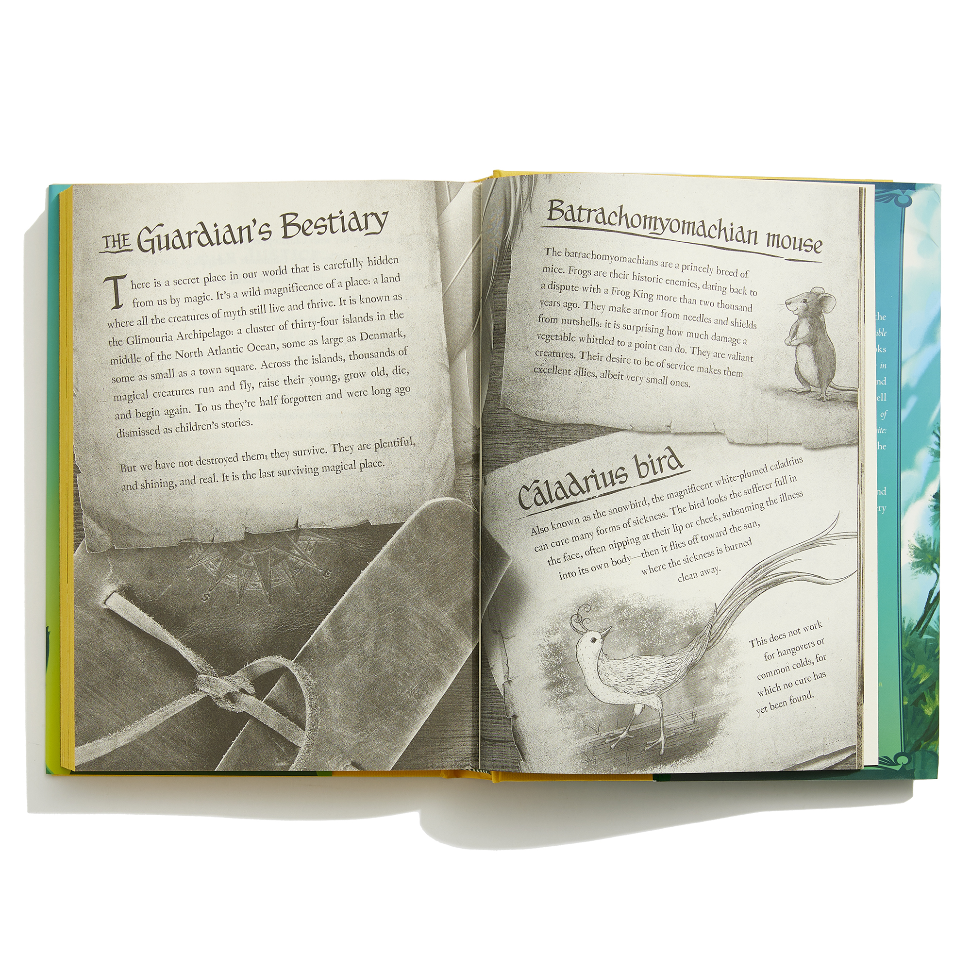 additional book photo