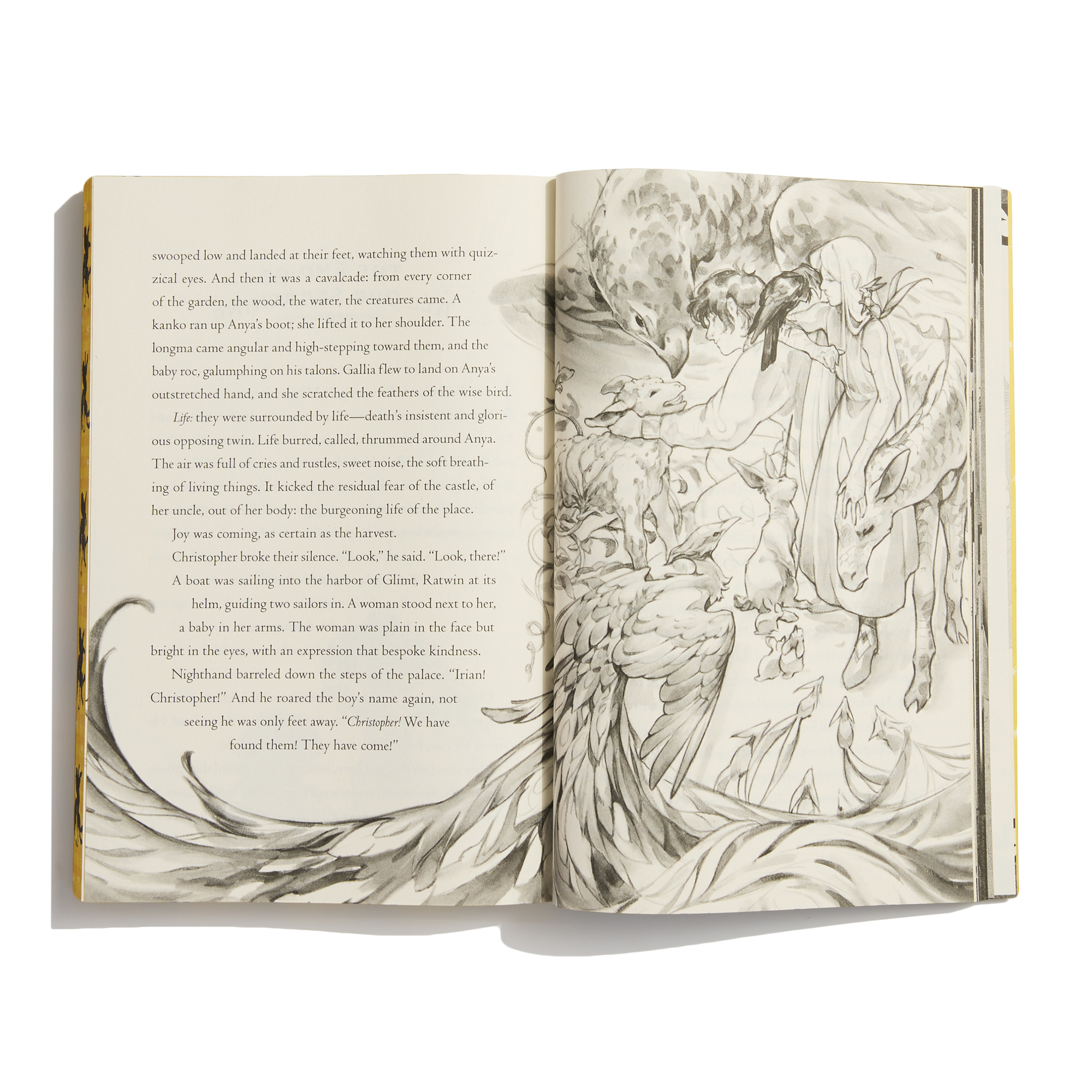additional book photo