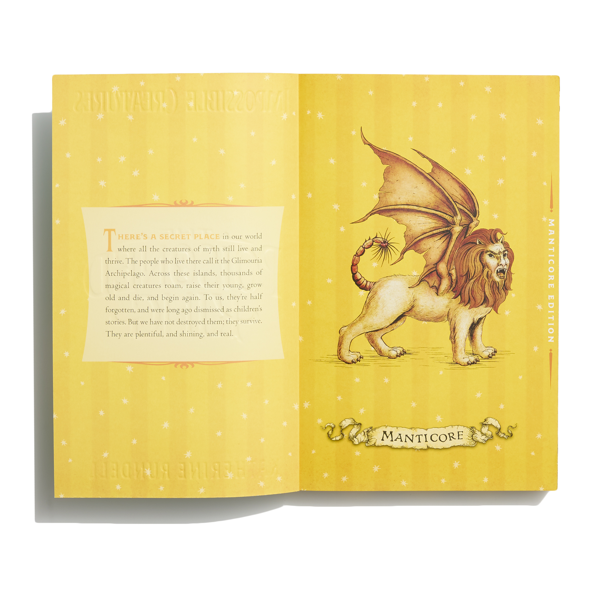 additional book photo