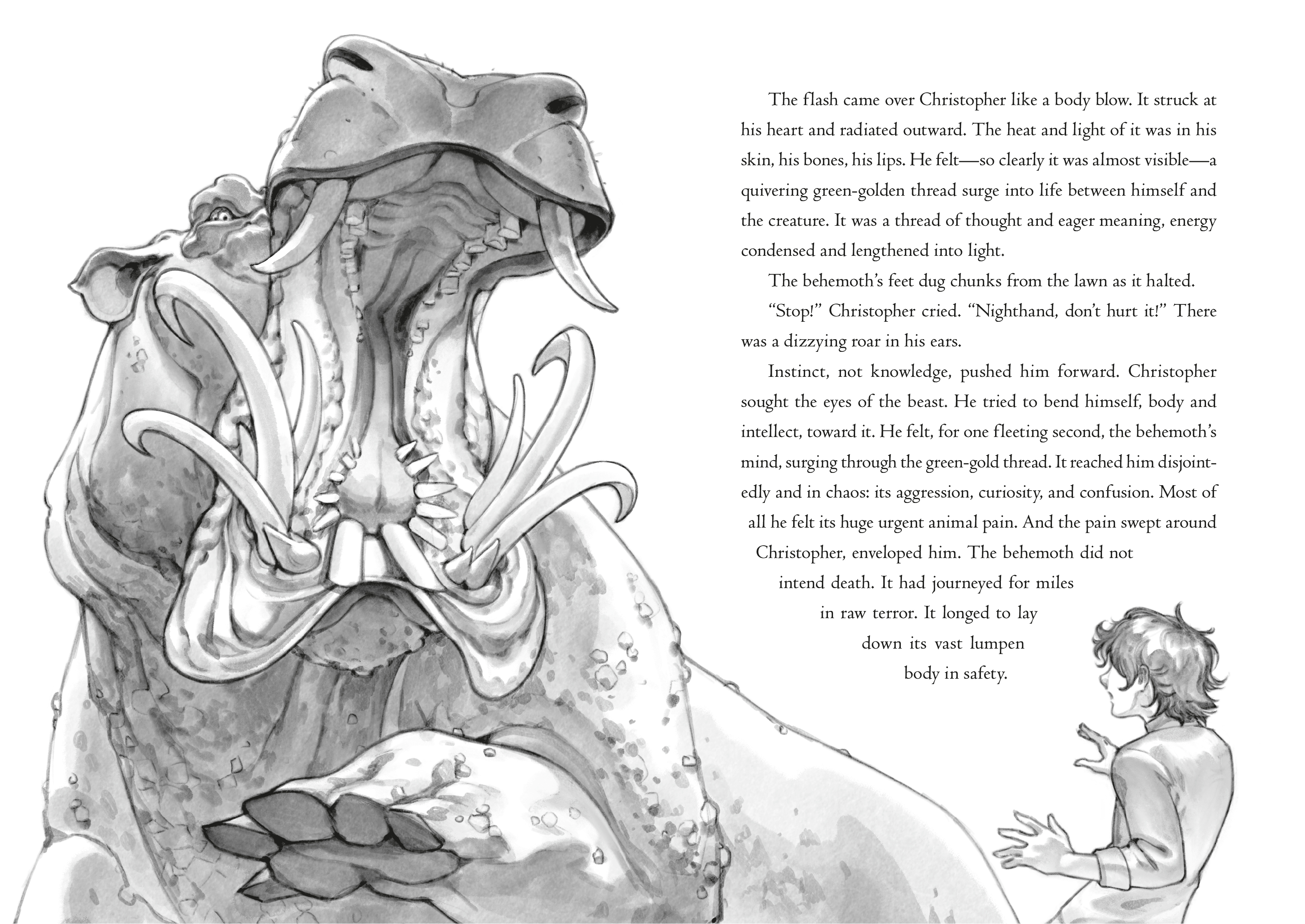 additional book photo