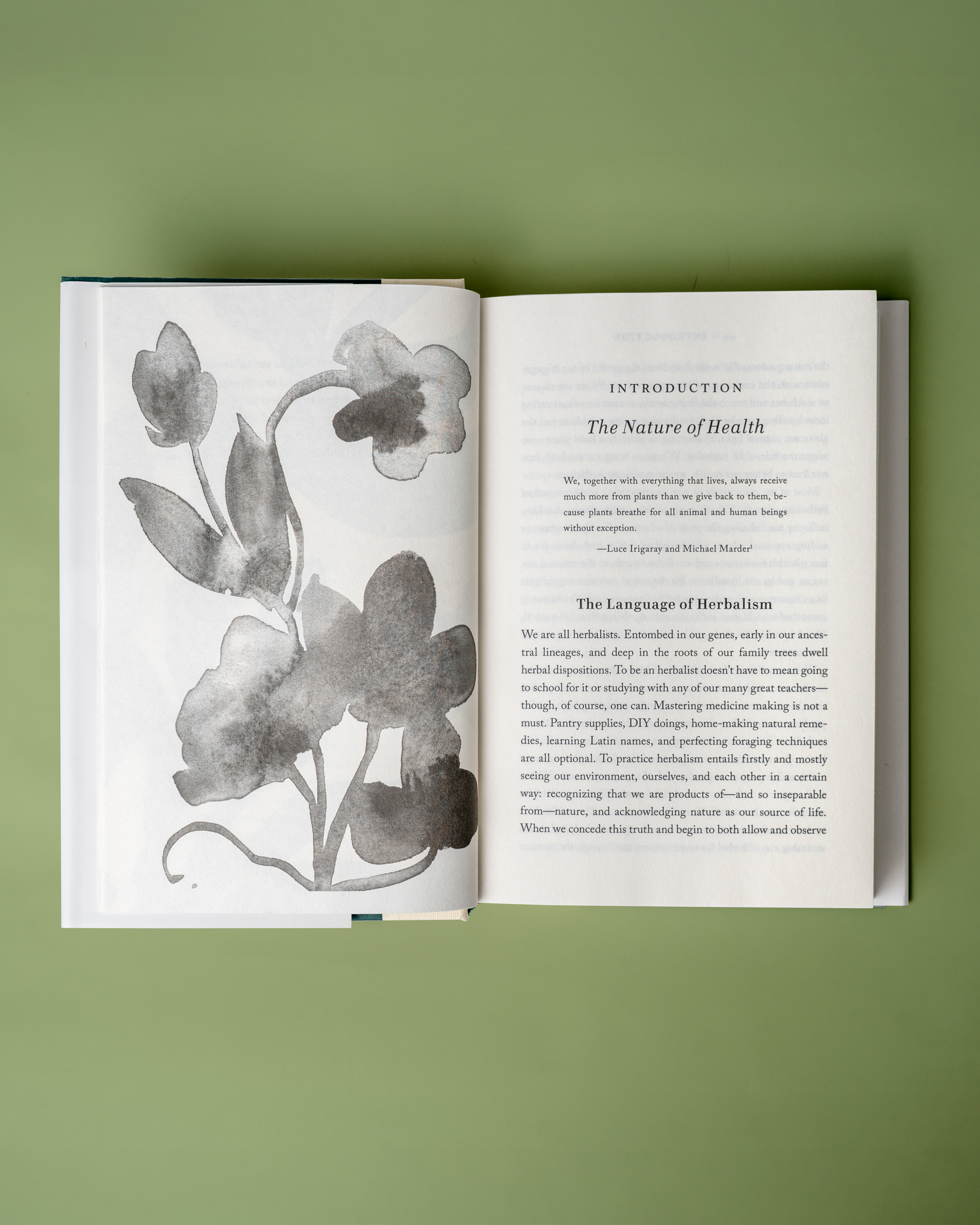 additional book photo