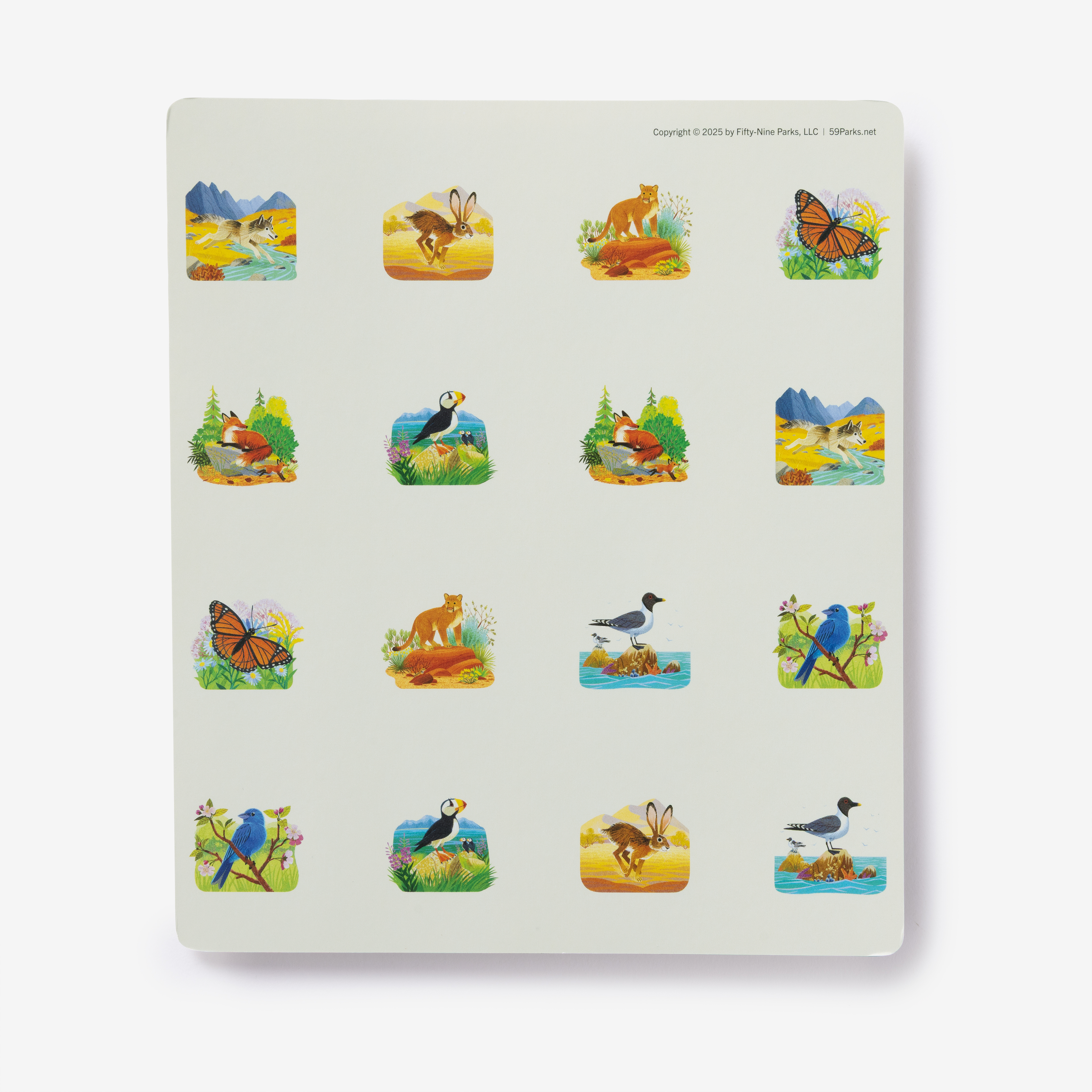 additional book photo