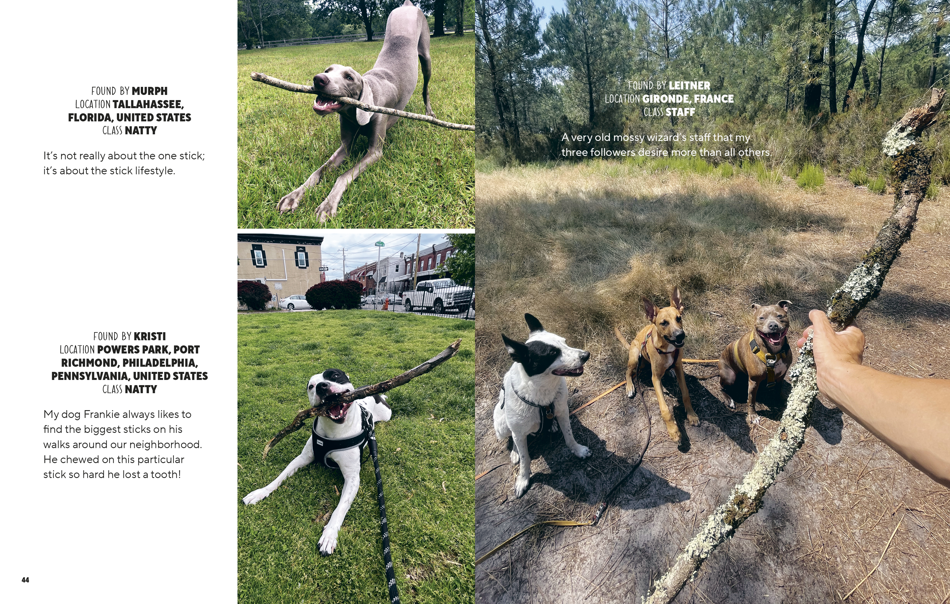 additional book photo