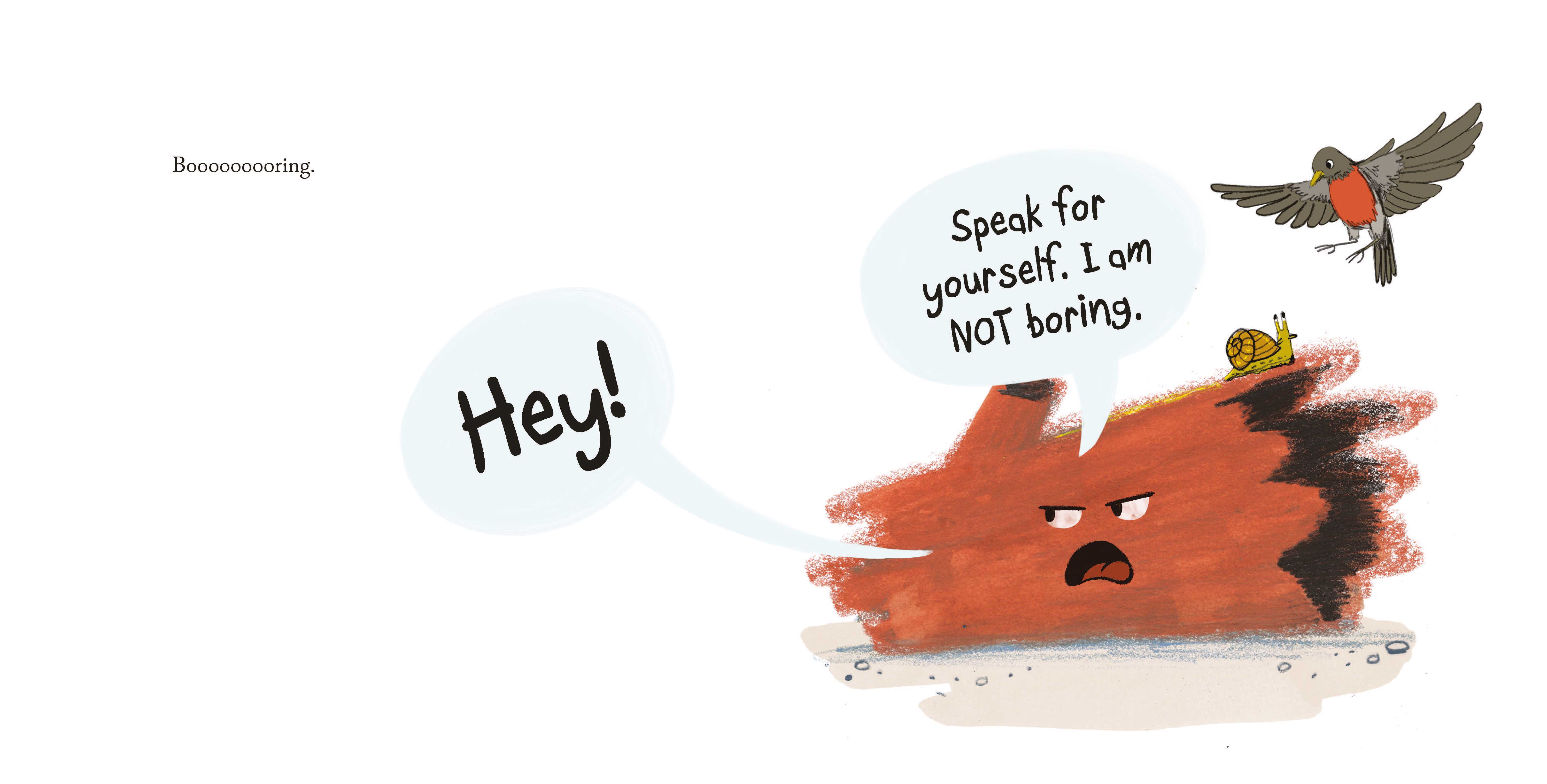 additional book photo