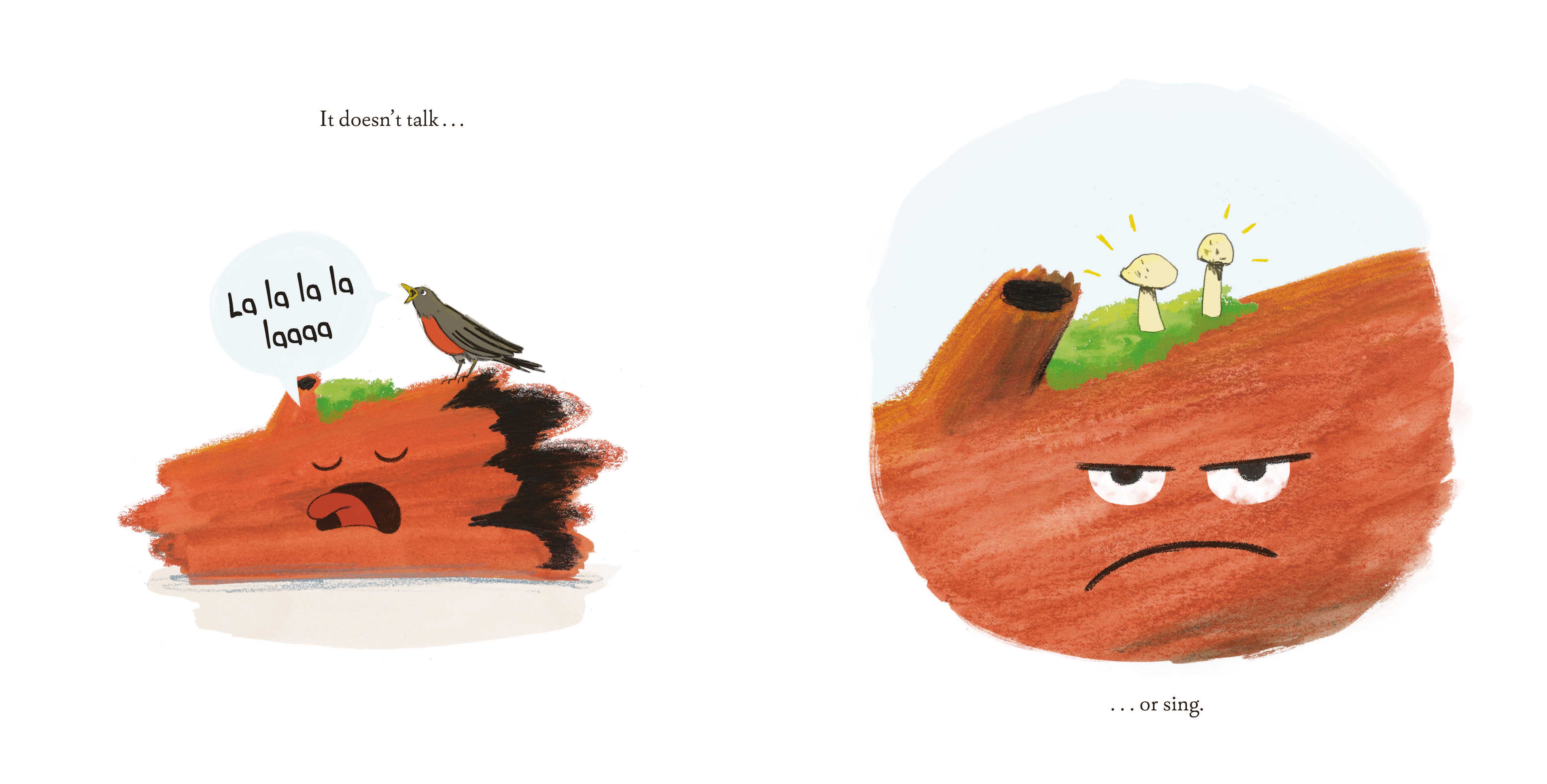 additional book photo