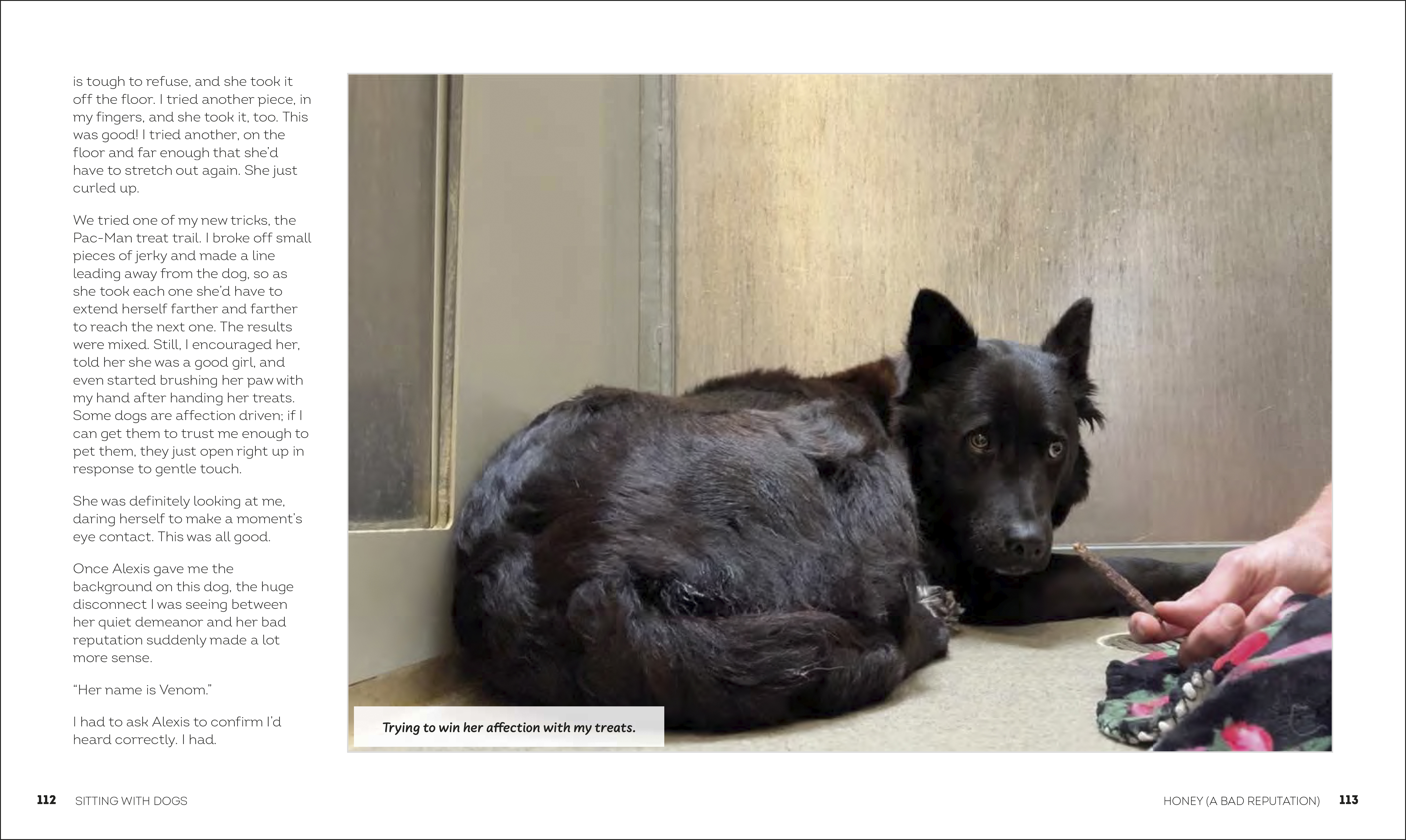 additional book photo