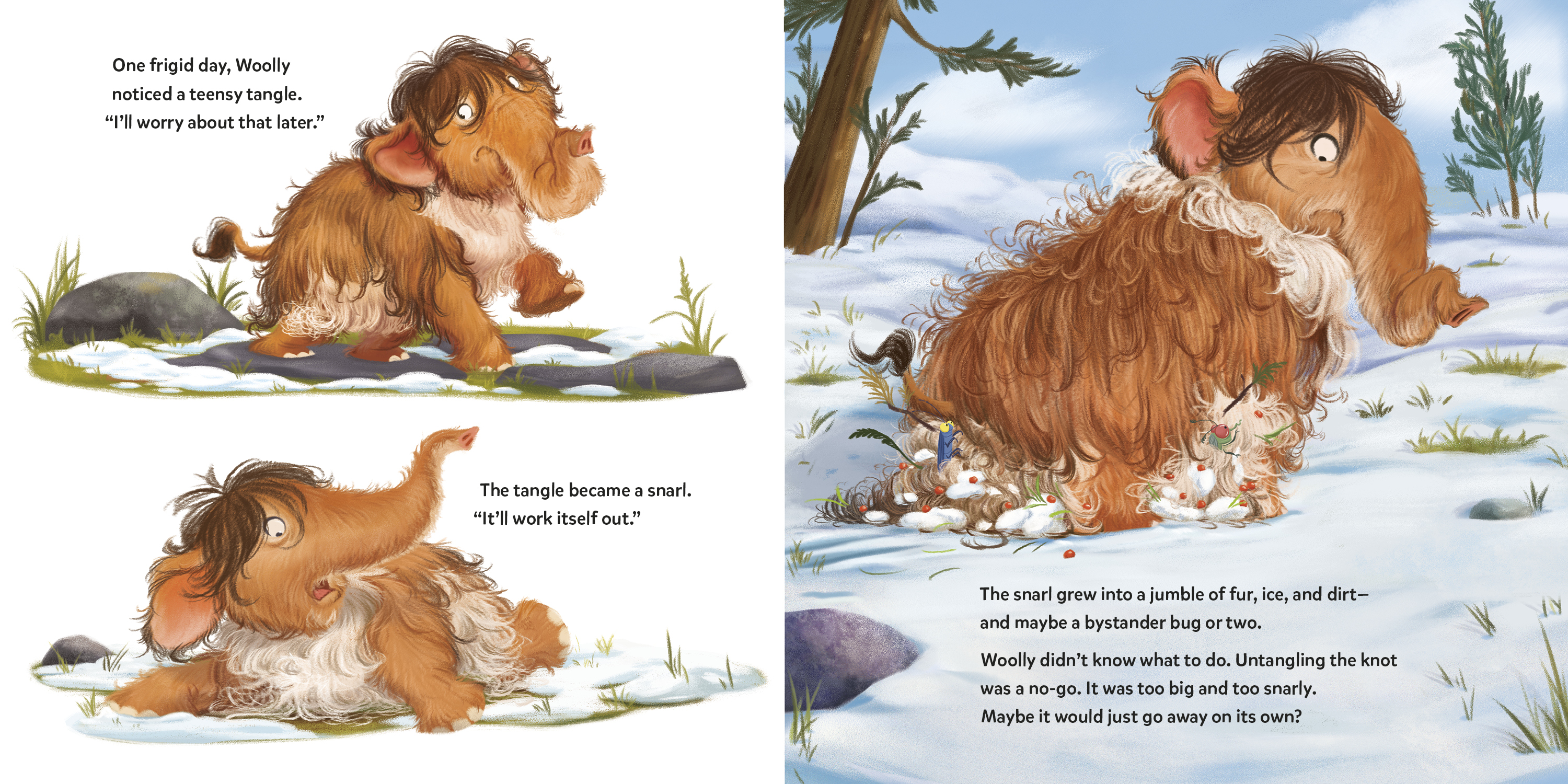 additional book photo