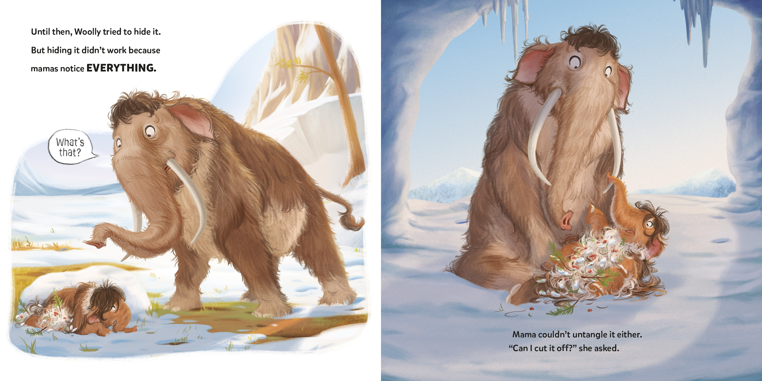 additional book photo