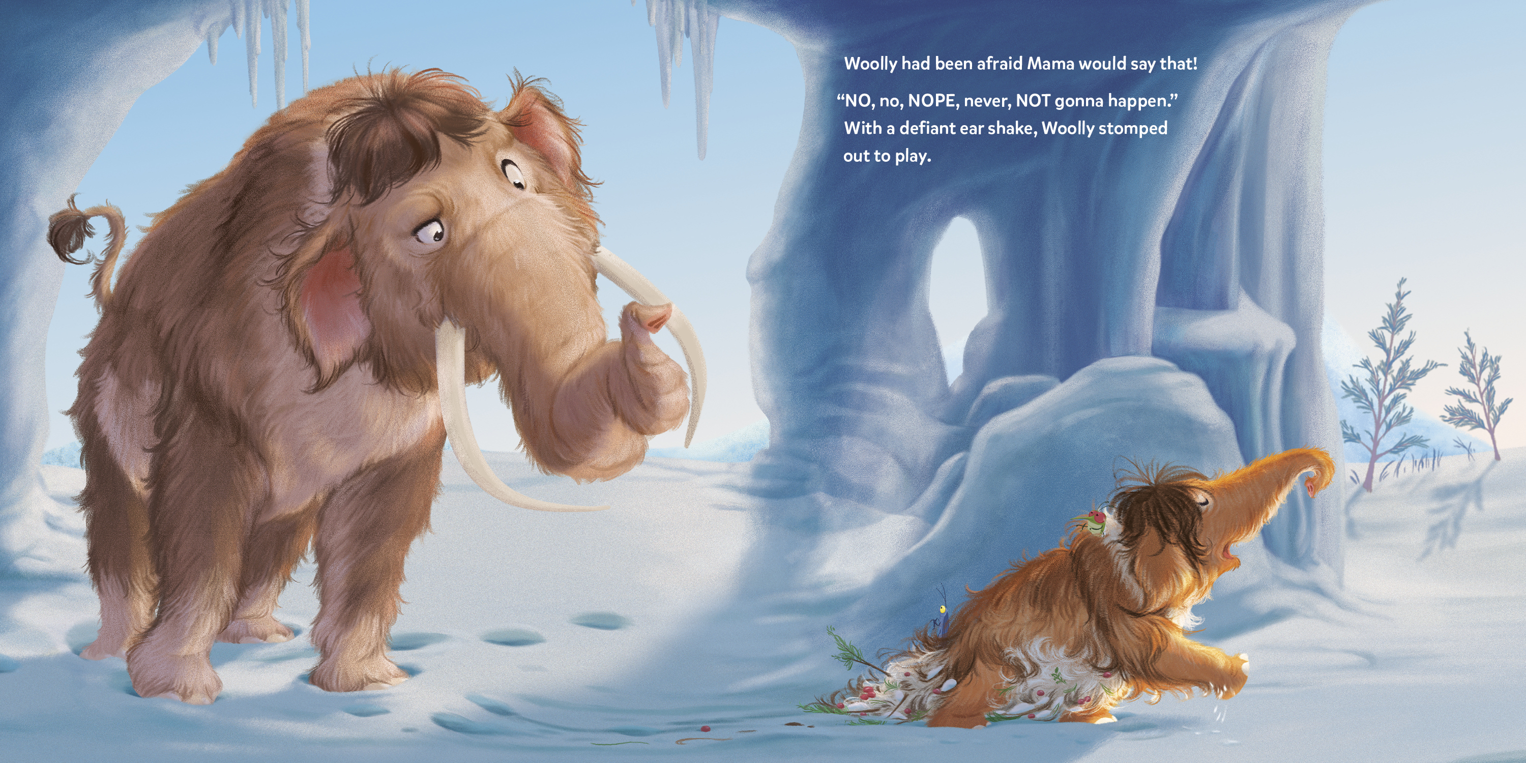 additional book photo