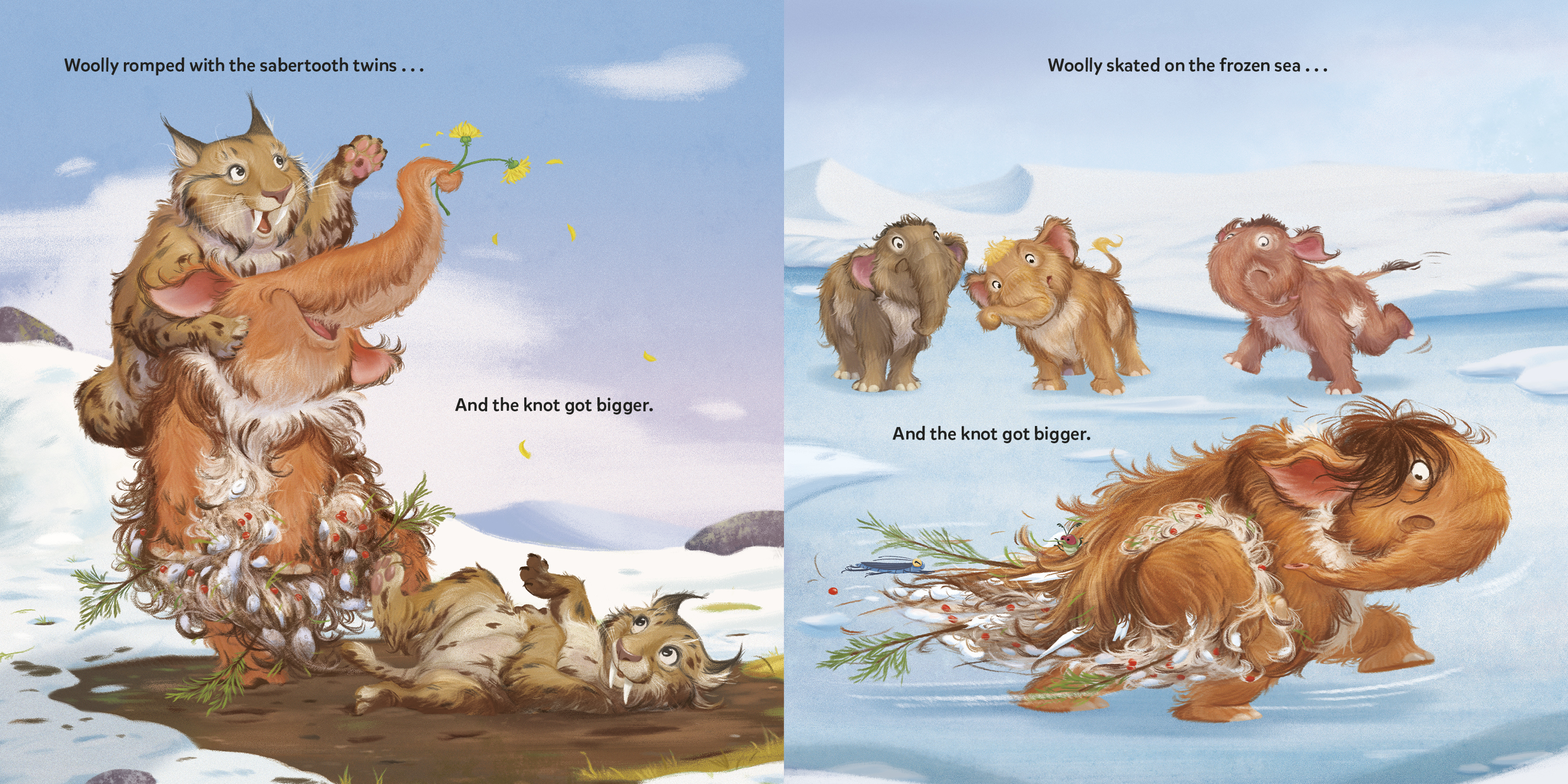 additional book photo