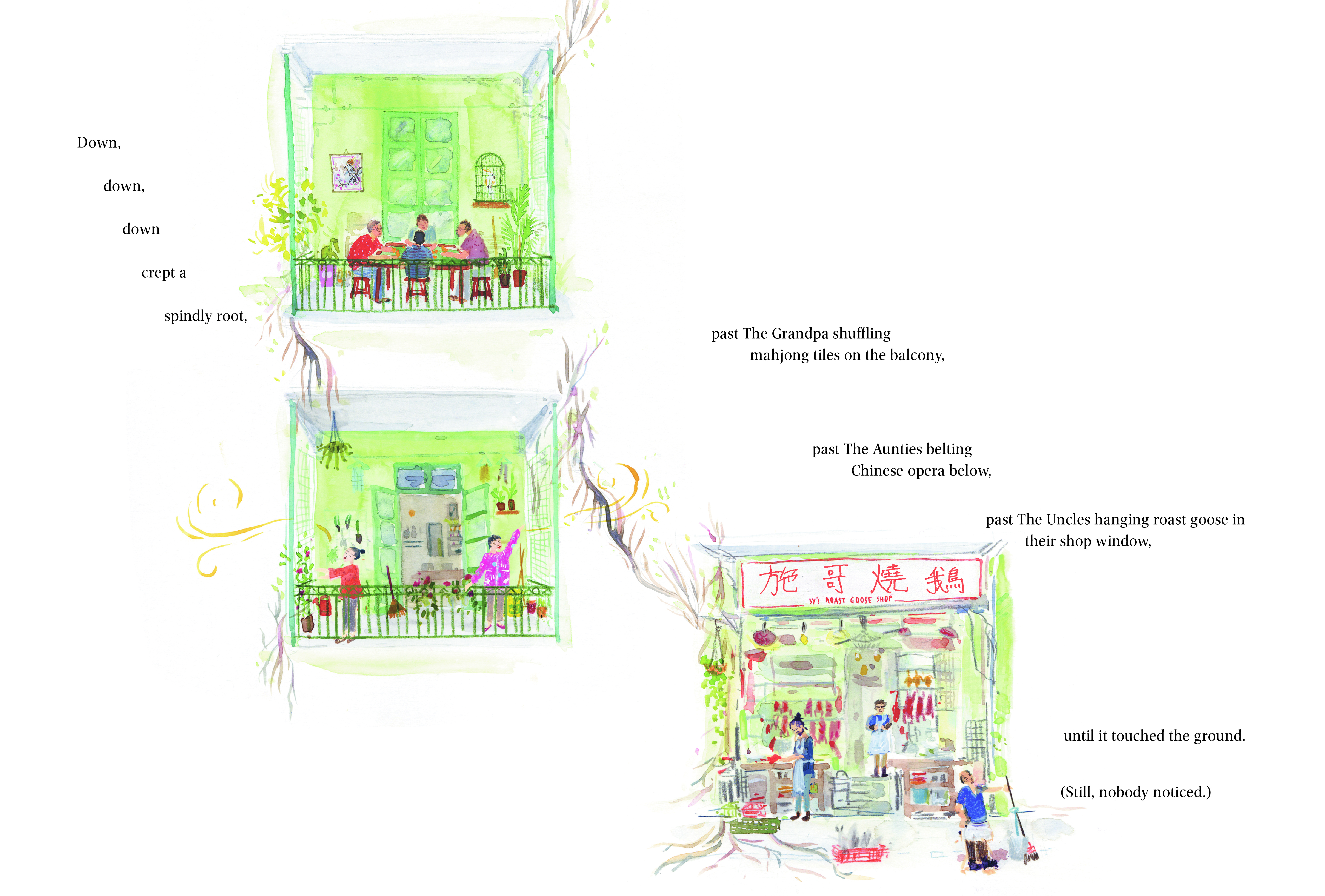 additional book photo