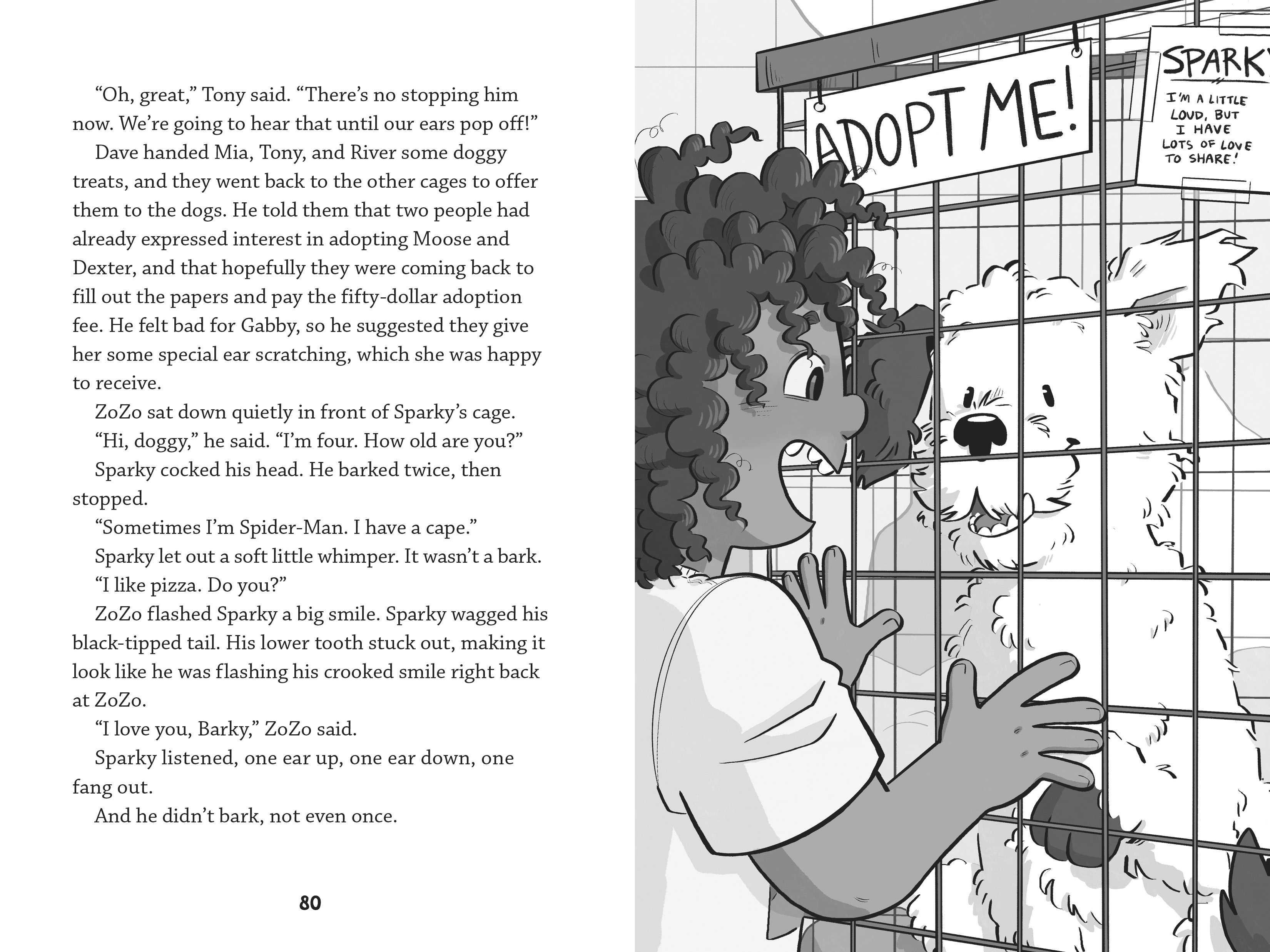 additional book photo