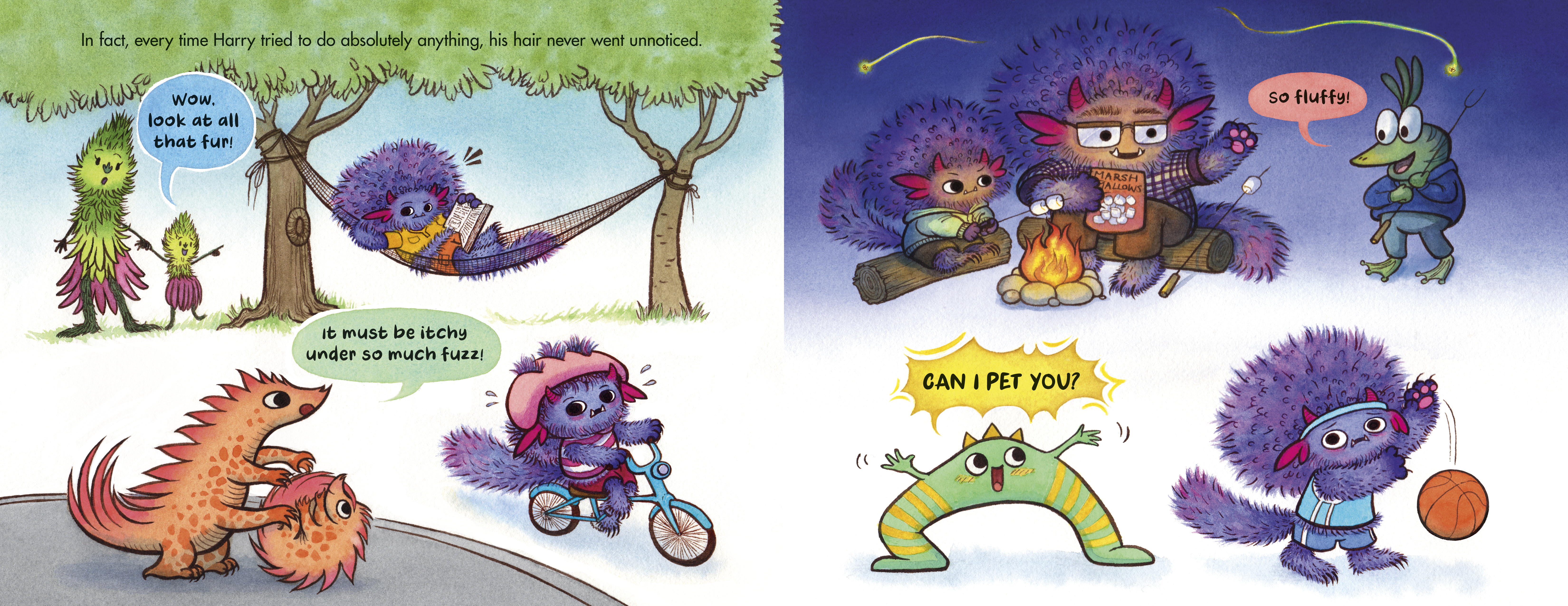 additional book photo