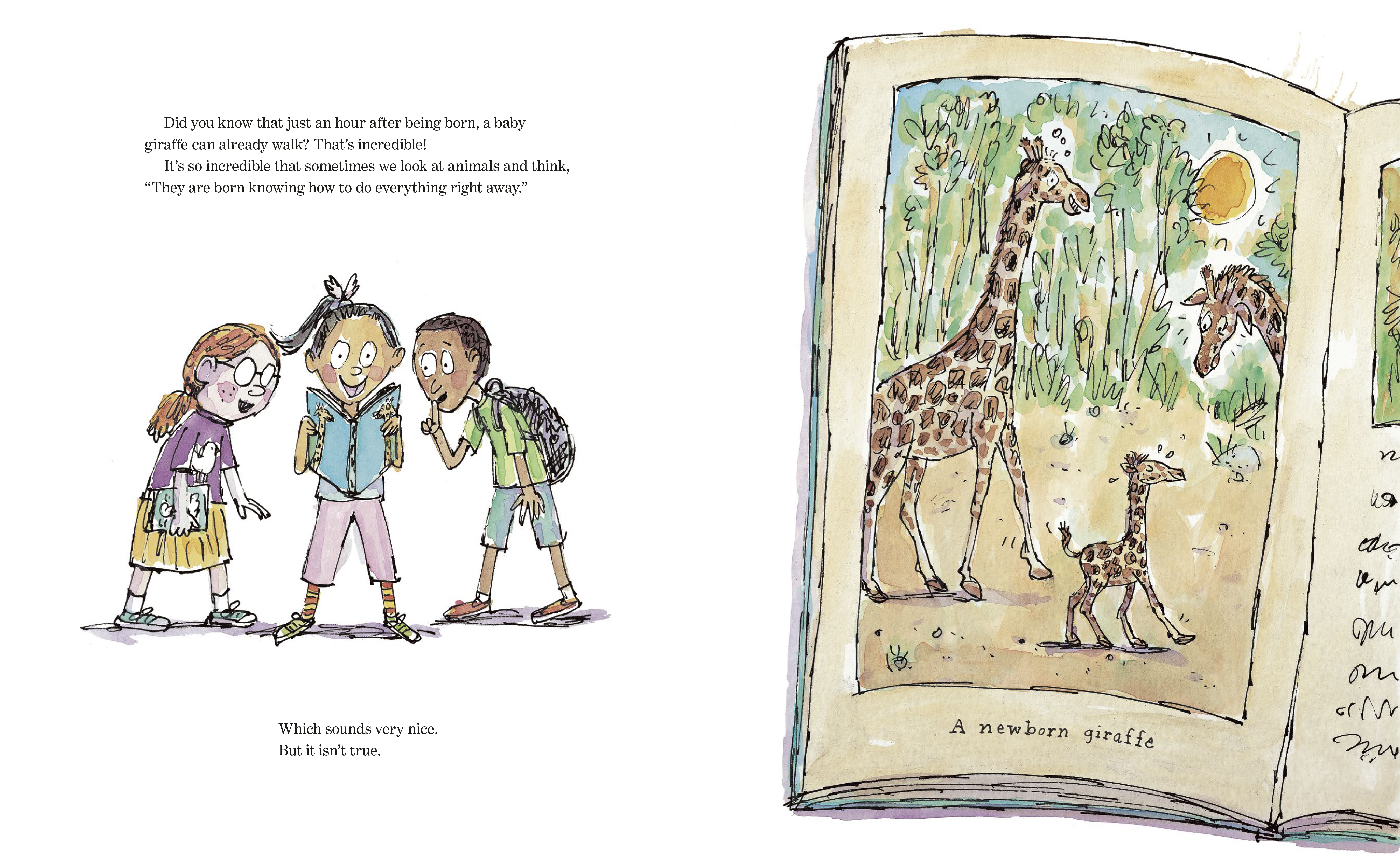 additional book photo